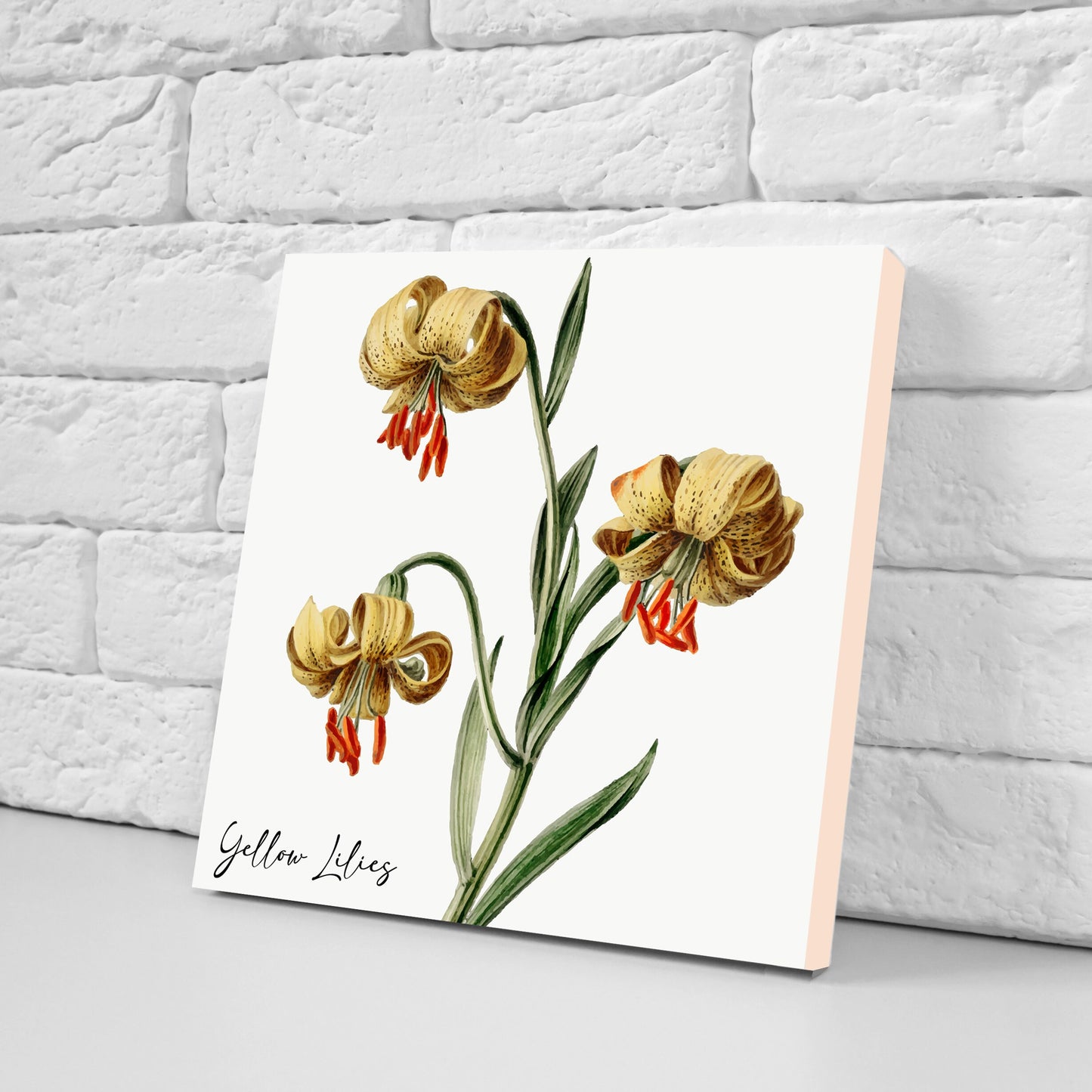Vintage Botanical Print Ceramic Tiles - Set of 3 Ceramic Decor Tiles - Kitchen Backsplash Tiles, Bathroom Tiles, Botanical wall art