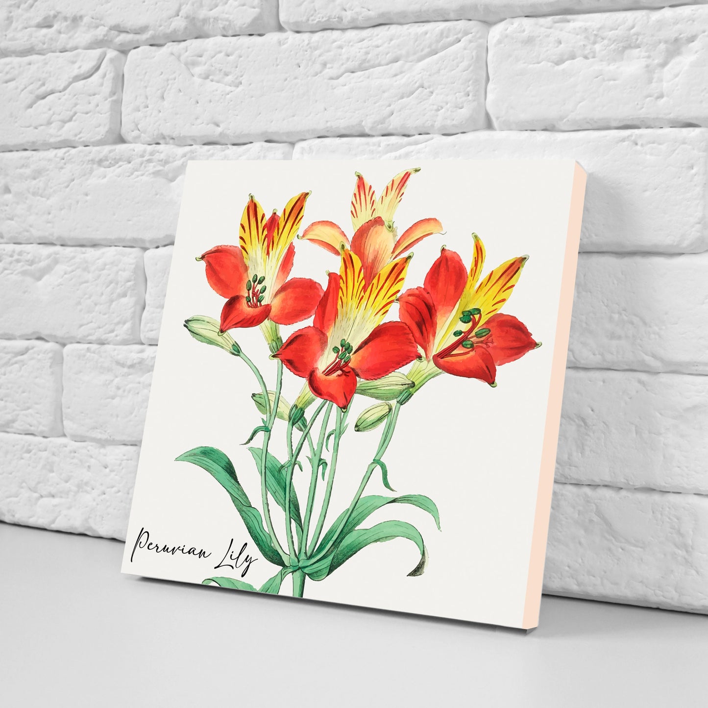 Vintage Botanical Print Ceramic Tiles - Set of 3 Ceramic Decor Tiles - Kitchen Backsplash Tiles, Bathroom Tiles, Botanical wall art