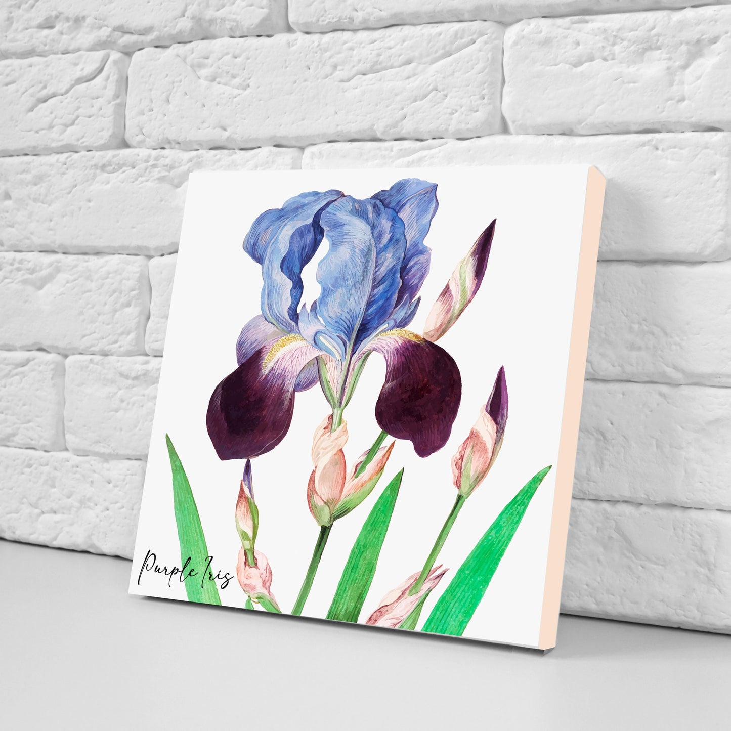 Vintage Botanical Print Ceramic Tiles - Set of 3 Ceramic Decor Tiles - Kitchen Backsplash Tiles, Bathroom Tiles, Botanical wall art