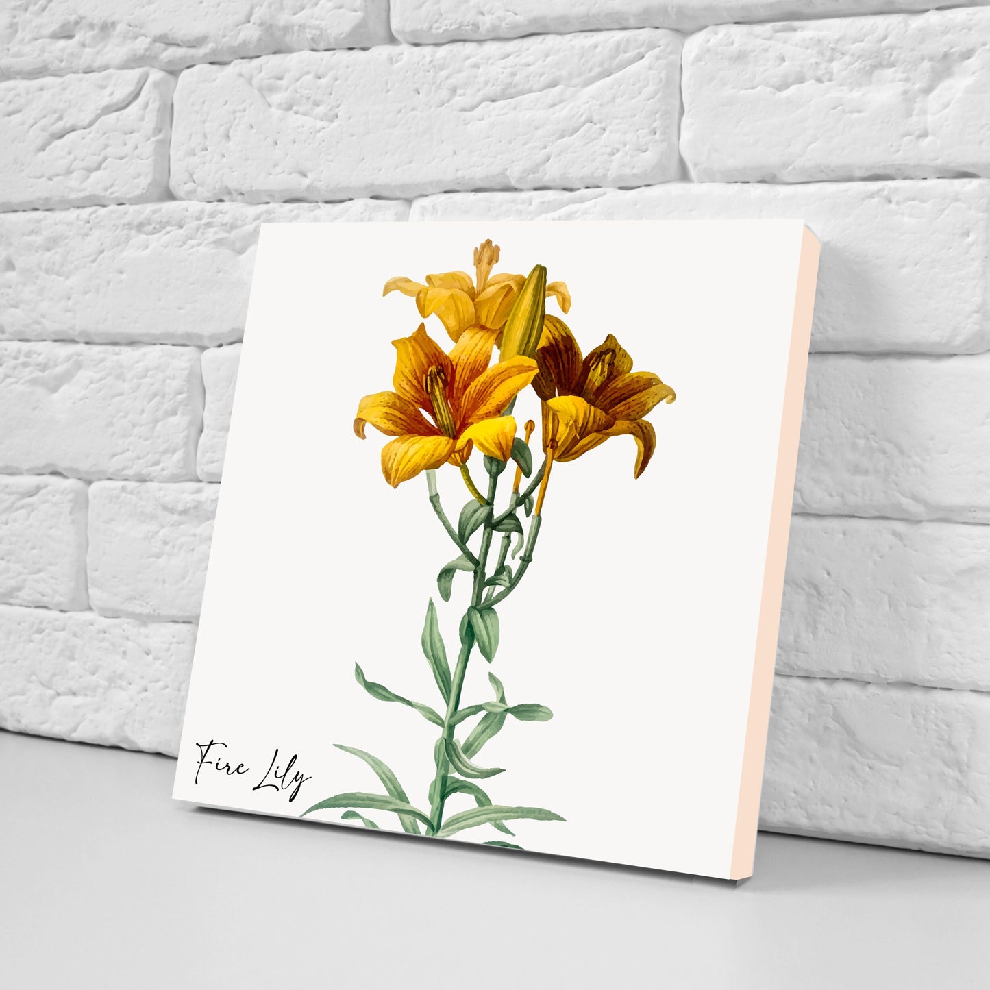 Vintage Botanical Print Ceramic Tiles - Set of 3 Ceramic Decor Tiles - Kitchen Backsplash Tiles, Bathroom Tiles, Botanical wall art