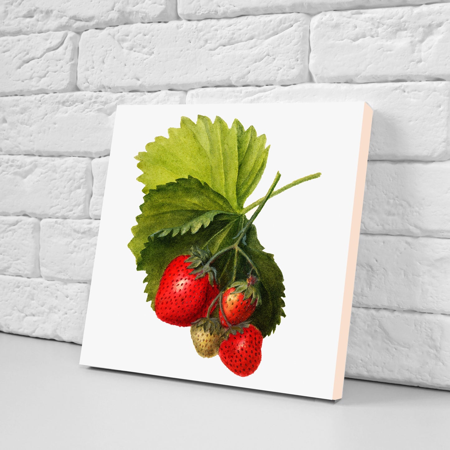 Vintage Fruit Print Ceramic Tiles - Set of 3 Ceramic Decor Tiles - Kitchen Backsplash Tiles, Bathroom Tiles, Fruit illustration print