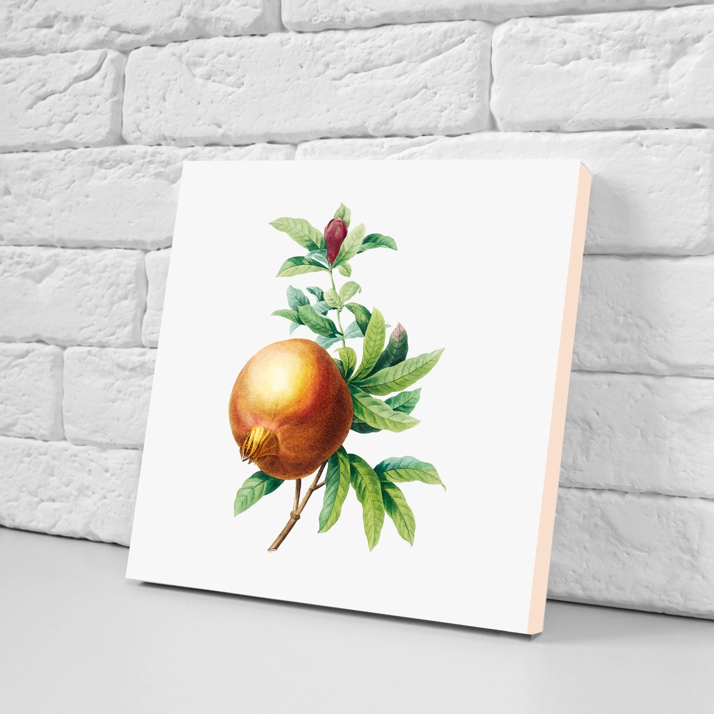 Vintage Fruit Print Ceramic Tiles - Set of 3 Ceramic Decor Tiles - Kitchen Backsplash Tiles, Bathroom Tiles, Fruit illustration print