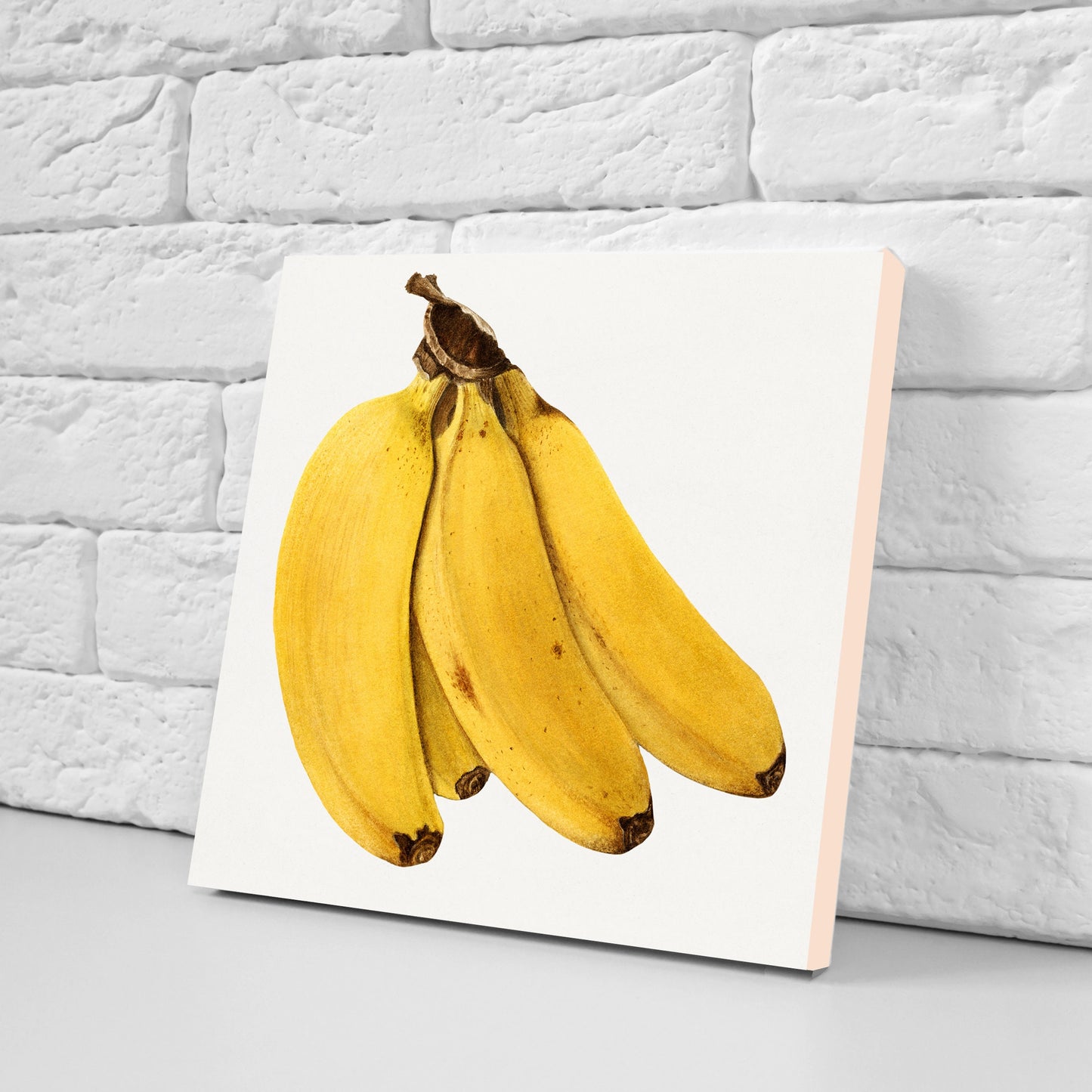 Vintage Fruit Print Ceramic Tiles - Set of 3 Ceramic Decor Tiles - Kitchen Backsplash Tiles, Bathroom Tiles, Fruit illustration print