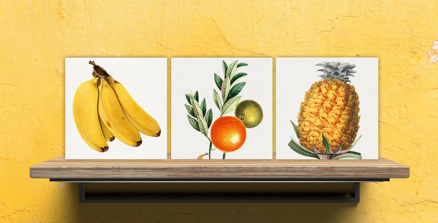 Vintage Fruit Print Ceramic Tiles - Set of 3 Ceramic Decor Tiles - Kitchen Backsplash Tiles, Bathroom Tiles, Fruit illustration print