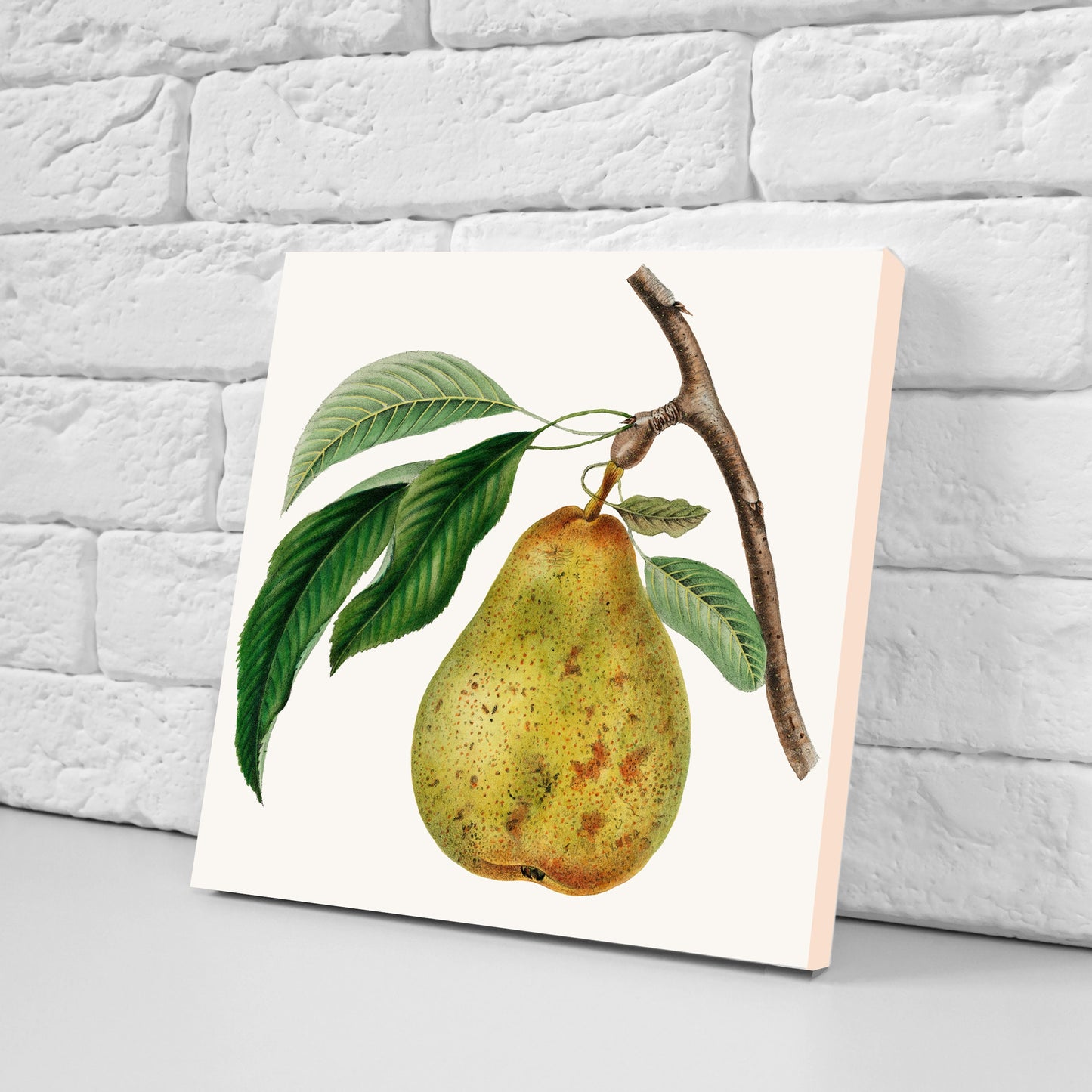Vintage Fruit Print Ceramic Tiles - Set of 3 Ceramic Decor Tiles - Kitchen Backsplash Tiles, Bathroom Tiles, Fruit illustration print