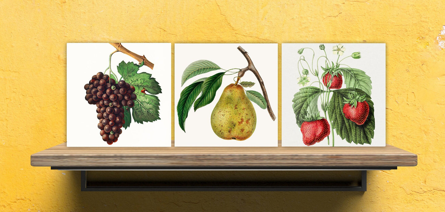 Vintage Fruit Print Ceramic Tiles - Set of 3 Ceramic Decor Tiles - Kitchen Backsplash Tiles, Bathroom Tiles, Fruit illustration print
