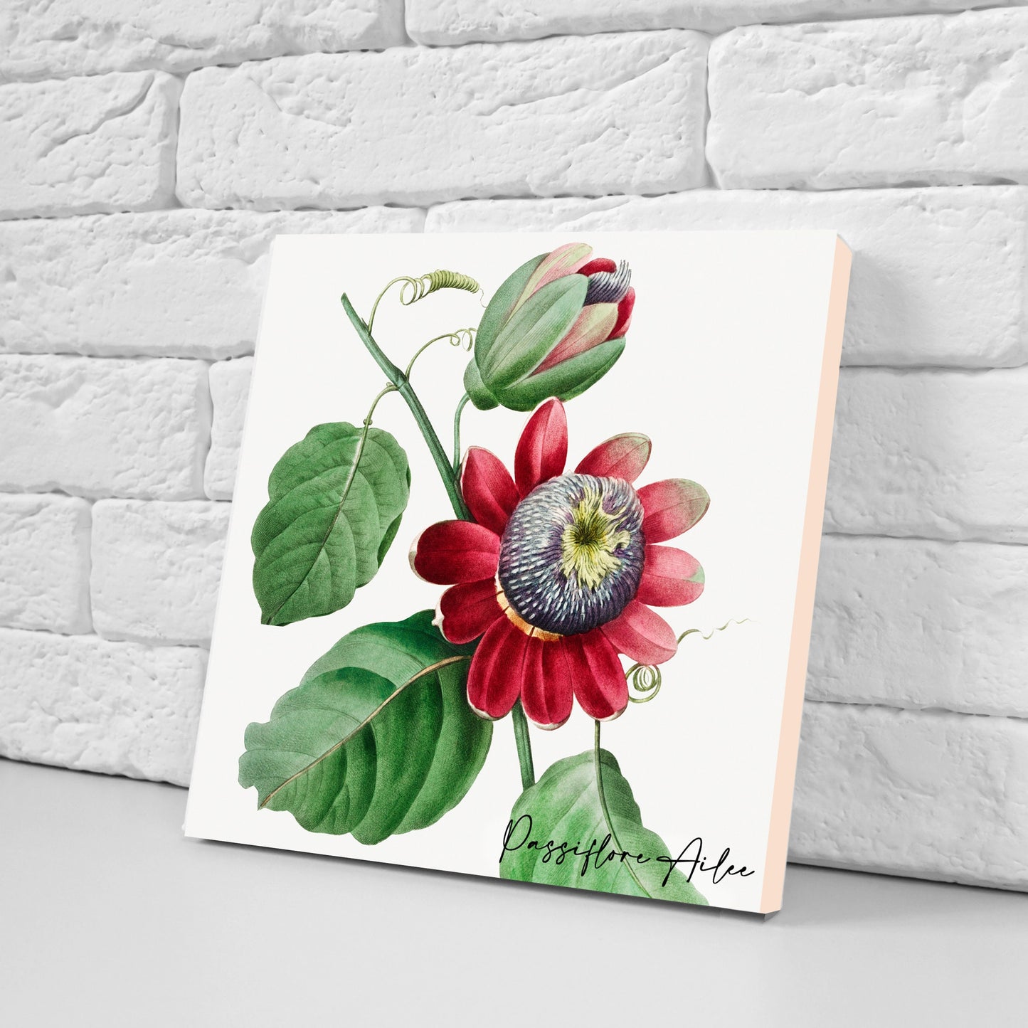 Vintage Botanical Print Ceramic Tiles - Set of 3 Ceramic Decor Tiles - Kitchen Backsplash Tiles, Bathroom Tiles, Botanical wall art