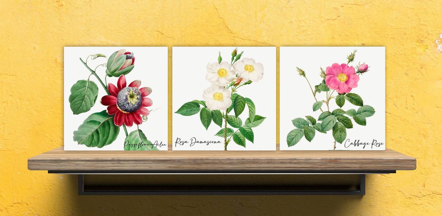 Vintage Botanical Print Ceramic Tiles - Set of 3 Ceramic Decor Tiles - Kitchen Backsplash Tiles, Bathroom Tiles, Botanical wall art