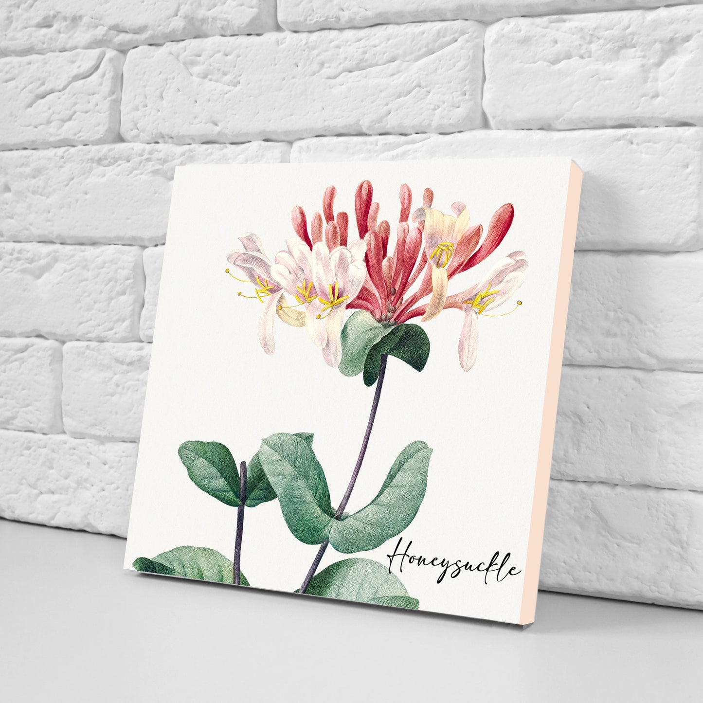 Vintage Botanical Print Ceramic Tiles - Set of 3 Ceramic Decor Tiles - Kitchen Backsplash Tiles, Bathroom Tiles, Botanical wall art
