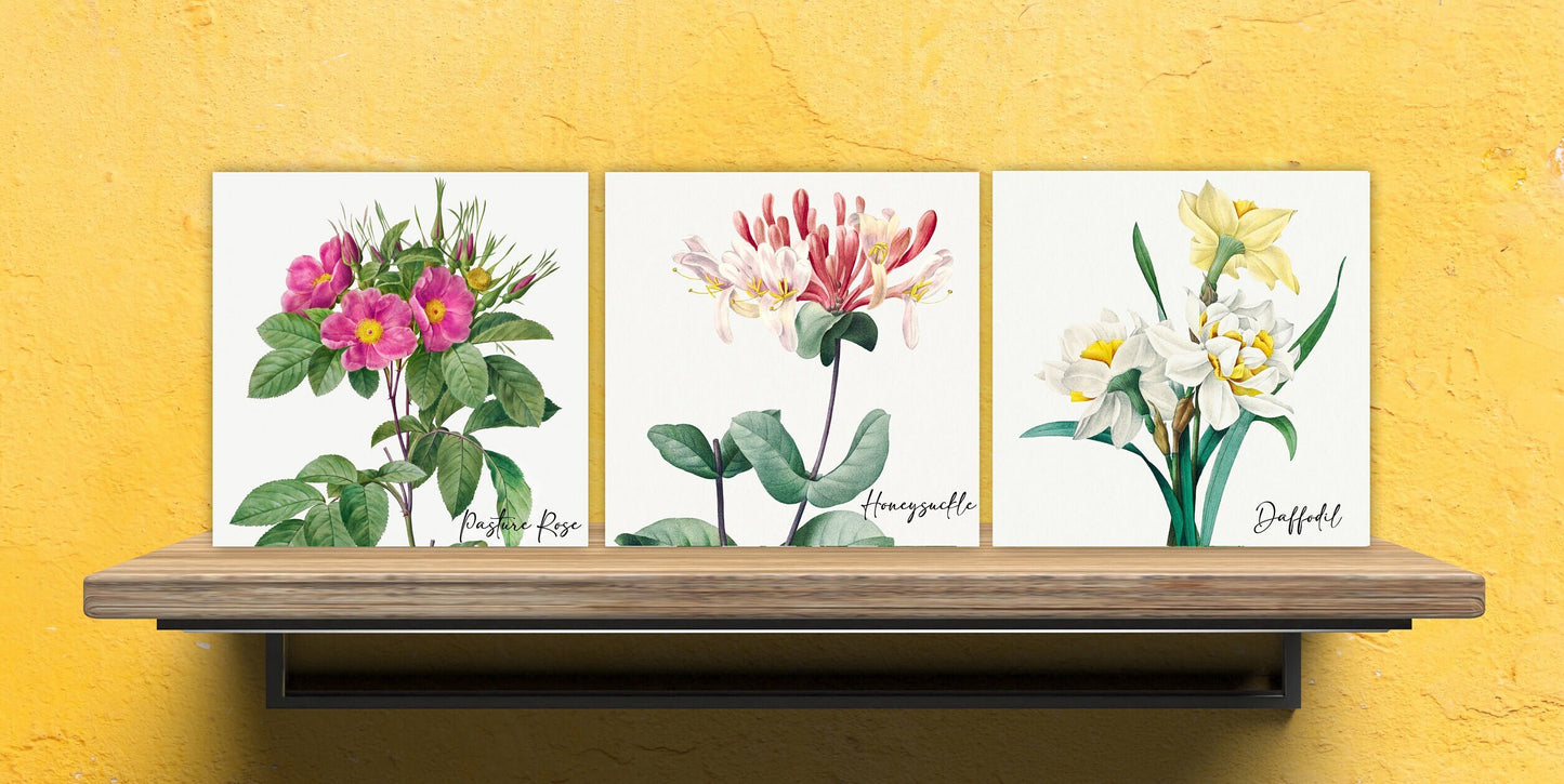 Vintage Botanical Print Ceramic Tiles - Set of 3 Ceramic Decor Tiles - Kitchen Backsplash Tiles, Bathroom Tiles, Botanical wall art
