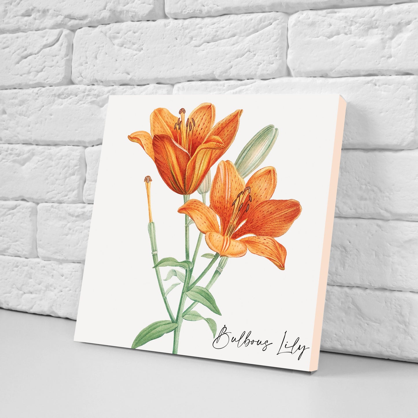 Vintage Botanical Print Ceramic Tiles - Set of 3 Ceramic Decor Tiles - Kitchen Backsplash Tiles, Bathroom Tiles, Botanical wall art
