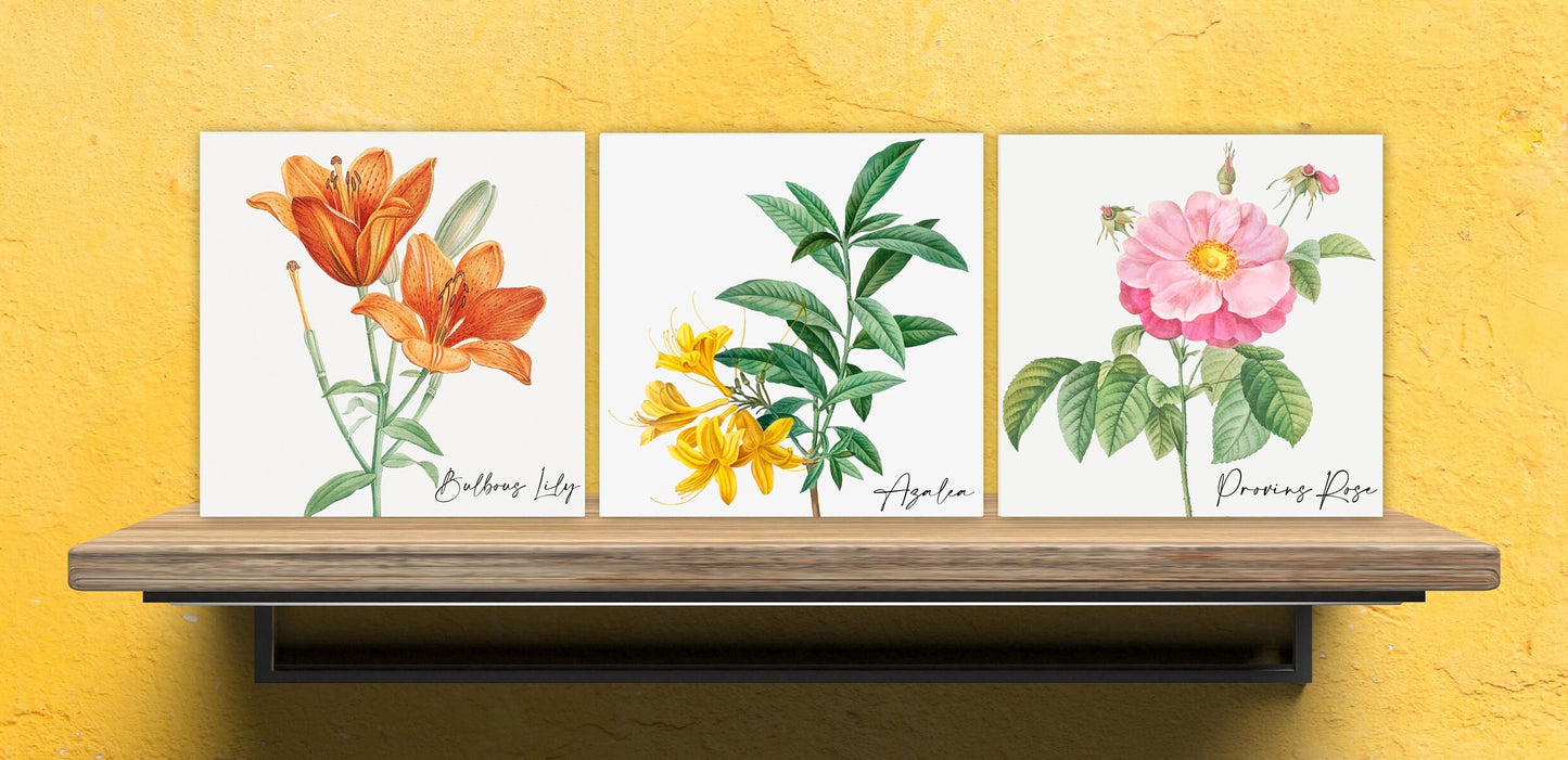 Vintage Botanical Print Ceramic Tiles - Set of 3 Ceramic Decor Tiles - Kitchen Backsplash Tiles, Bathroom Tiles, Botanical wall art