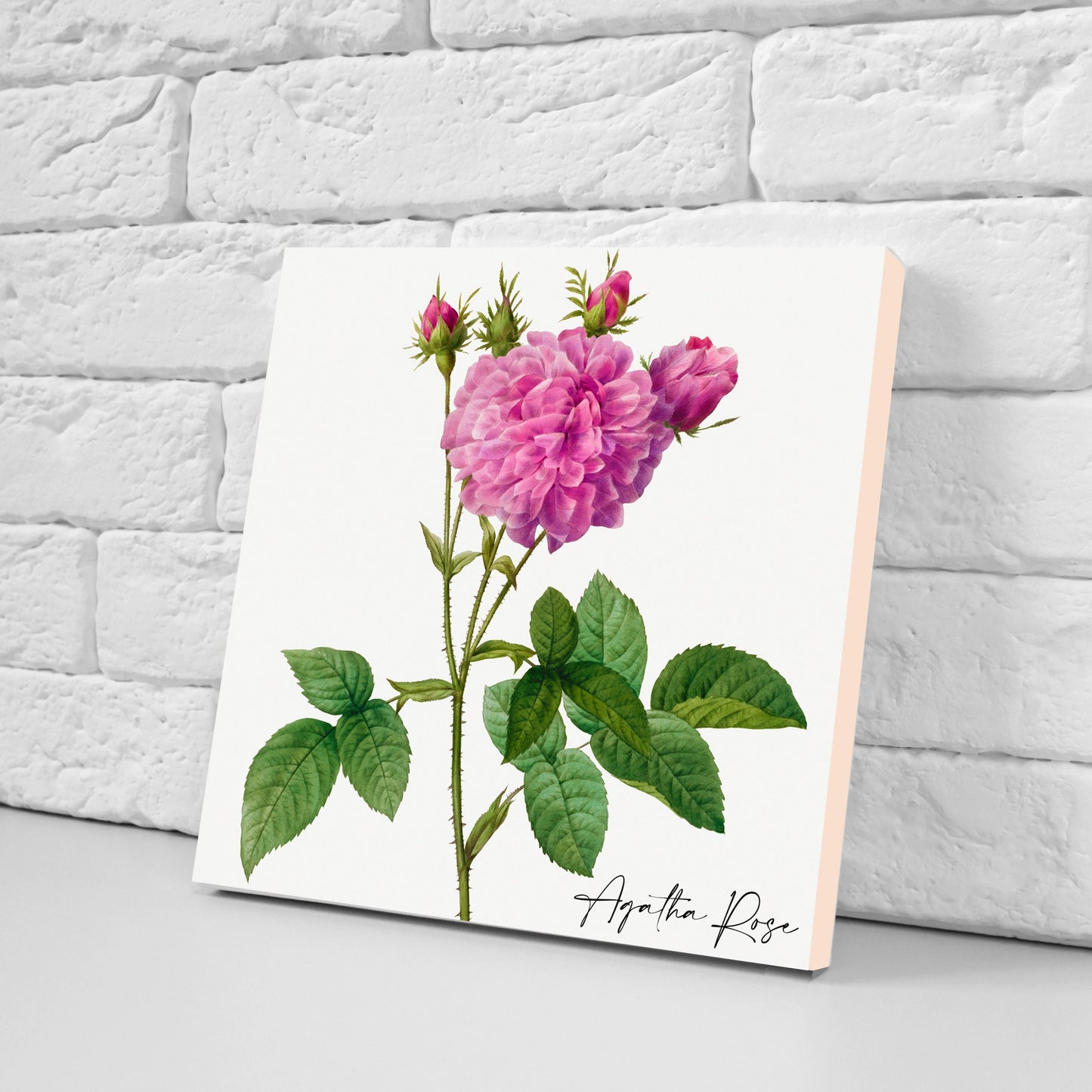 Vintage Botanical Print Ceramic Tiles - Set of 3 Ceramic Decor Tiles - Kitchen Backsplash Tiles, Bathroom Tiles, Botanical wall art