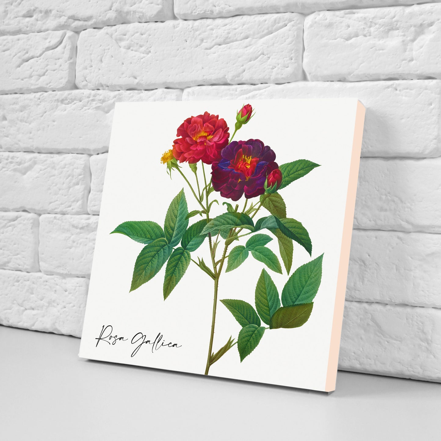Vintage Botanical Print Ceramic Tiles - Set of 3 Ceramic Decor Tiles - Kitchen Backsplash Tiles, Bathroom Tiles, Botanical wall art