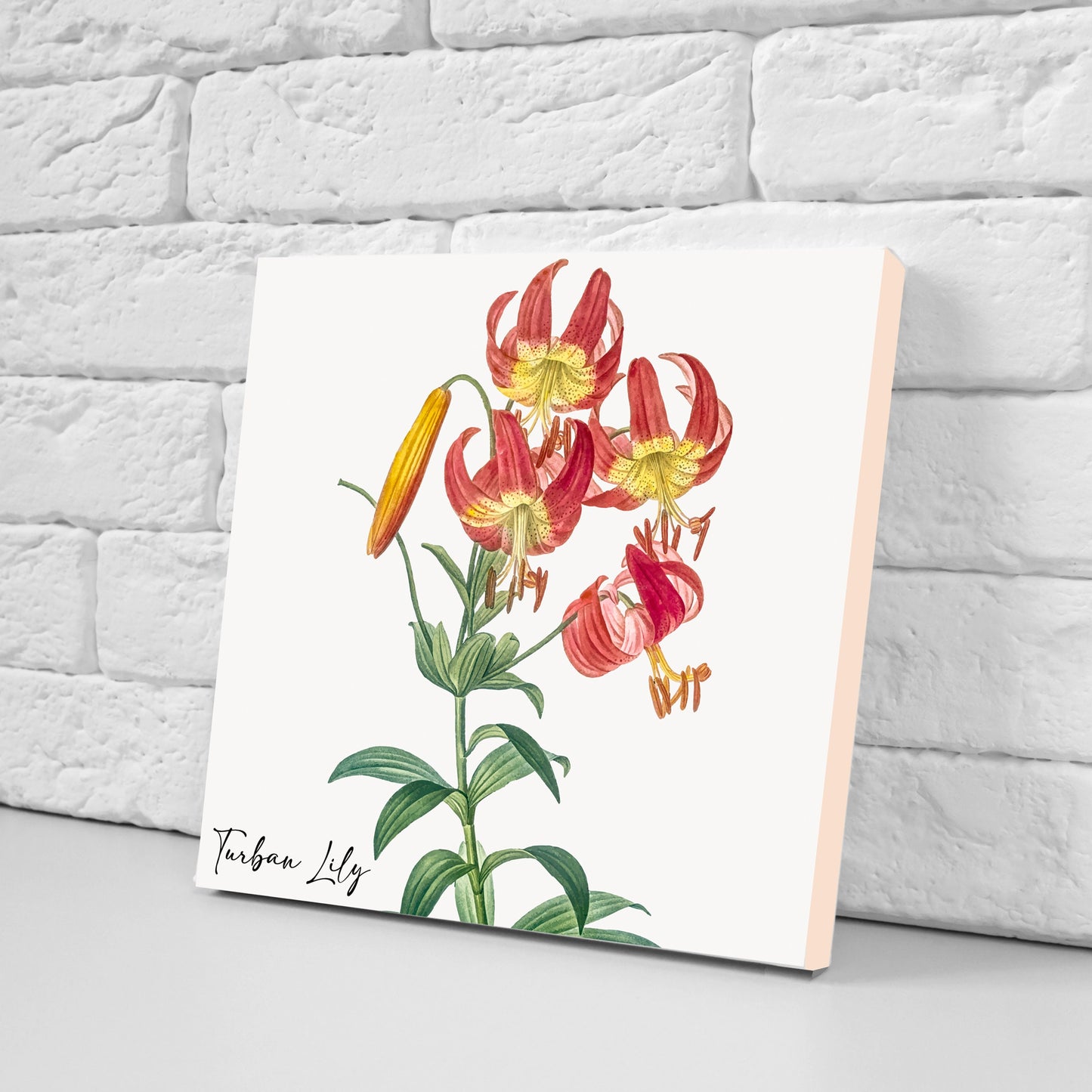 Vintage Botanical Print Ceramic Tiles - Set of 3 Ceramic Decor Tiles - Kitchen Backsplash Tiles, Bathroom Tiles, Botanical wall art