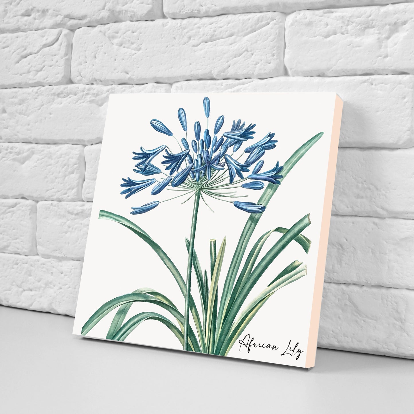 Vintage Botanical Print Ceramic Tiles - Set of 3 Ceramic Decor Tiles - Kitchen Backsplash Tiles, Bathroom Tiles, Botanical wall art