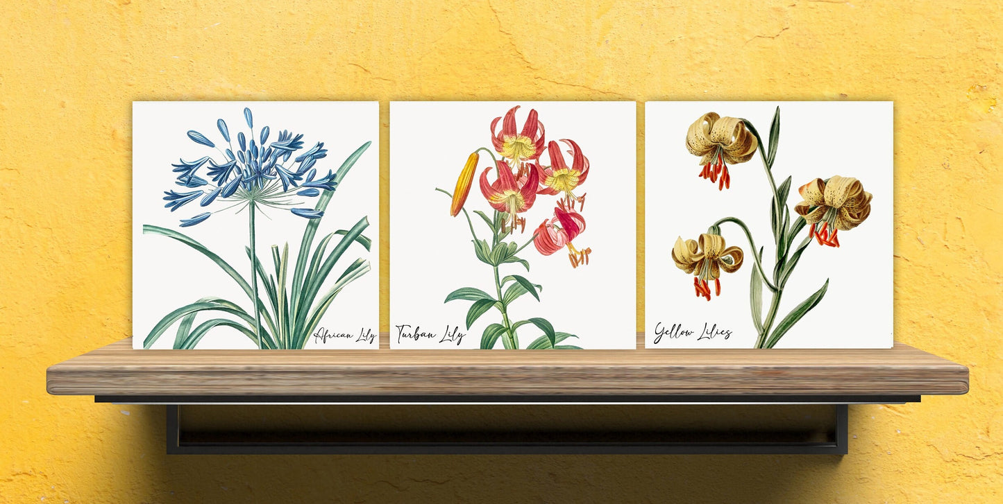 Vintage Botanical Print Ceramic Tiles - Set of 3 Ceramic Decor Tiles - Kitchen Backsplash Tiles, Bathroom Tiles, Botanical wall art