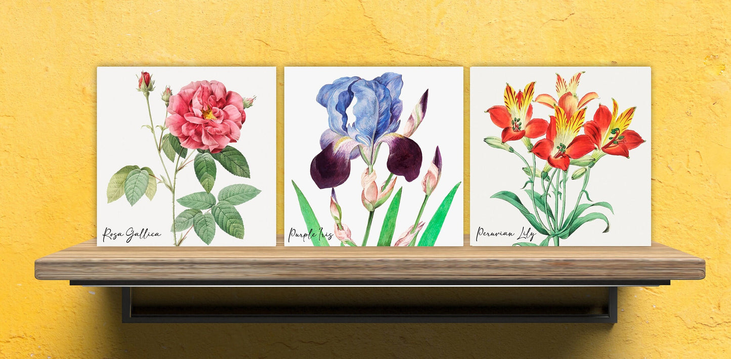 Vintage Botanical Print Ceramic Tiles - Set of 3 Ceramic Decor Tiles - Kitchen Backsplash Tiles, Bathroom Tiles, Botanical wall art
