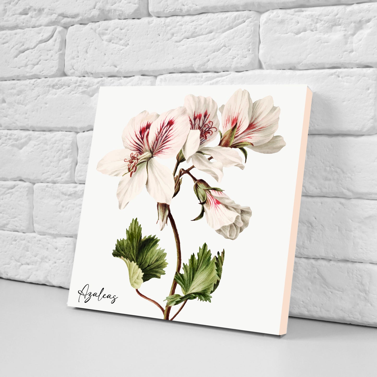 Vintage Botanical Print Ceramic Tiles - Set of 3 Ceramic Decor Tiles - Kitchen Backsplash Tiles, Bathroom Tiles, Botanical wall art