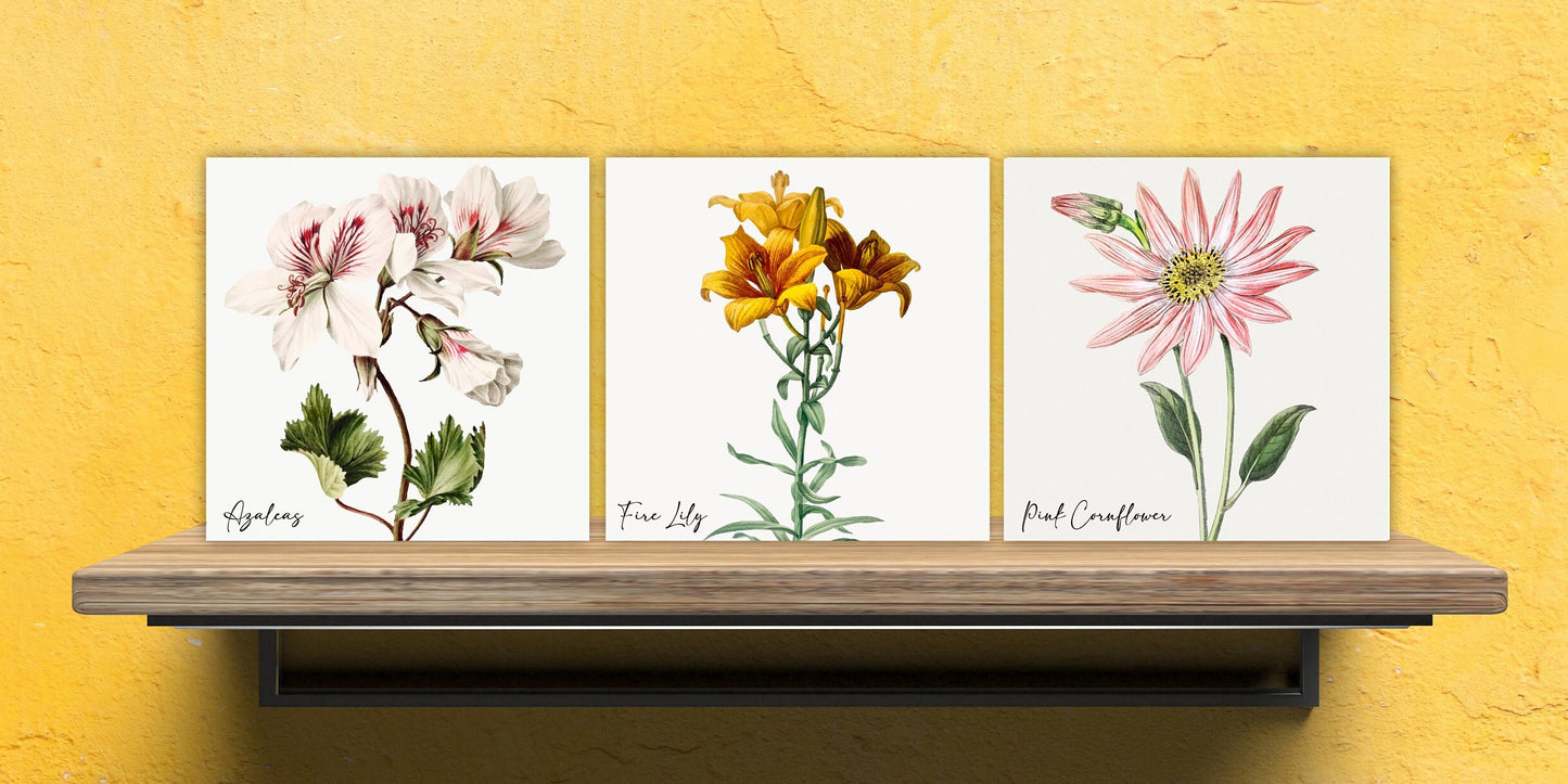 Vintage Botanical Print Ceramic Tiles - Set of 3 Ceramic Decor Tiles - Kitchen Backsplash Tiles, Bathroom Tiles, Botanical wall art