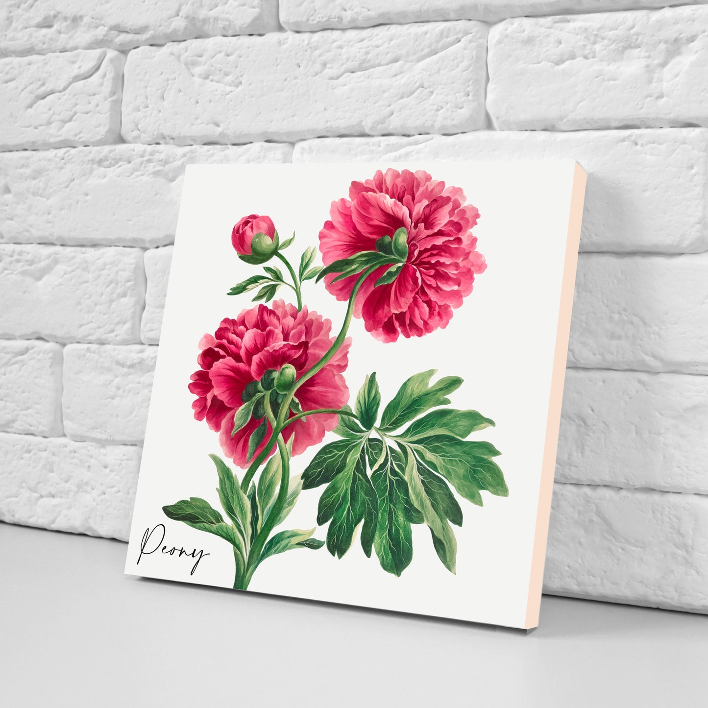 Vintage Botanical Print Ceramic Tiles - Set of 3 Ceramic Decor Tiles - Kitchen Backsplash Tiles, Bathroom Tiles, Botanical wall art
