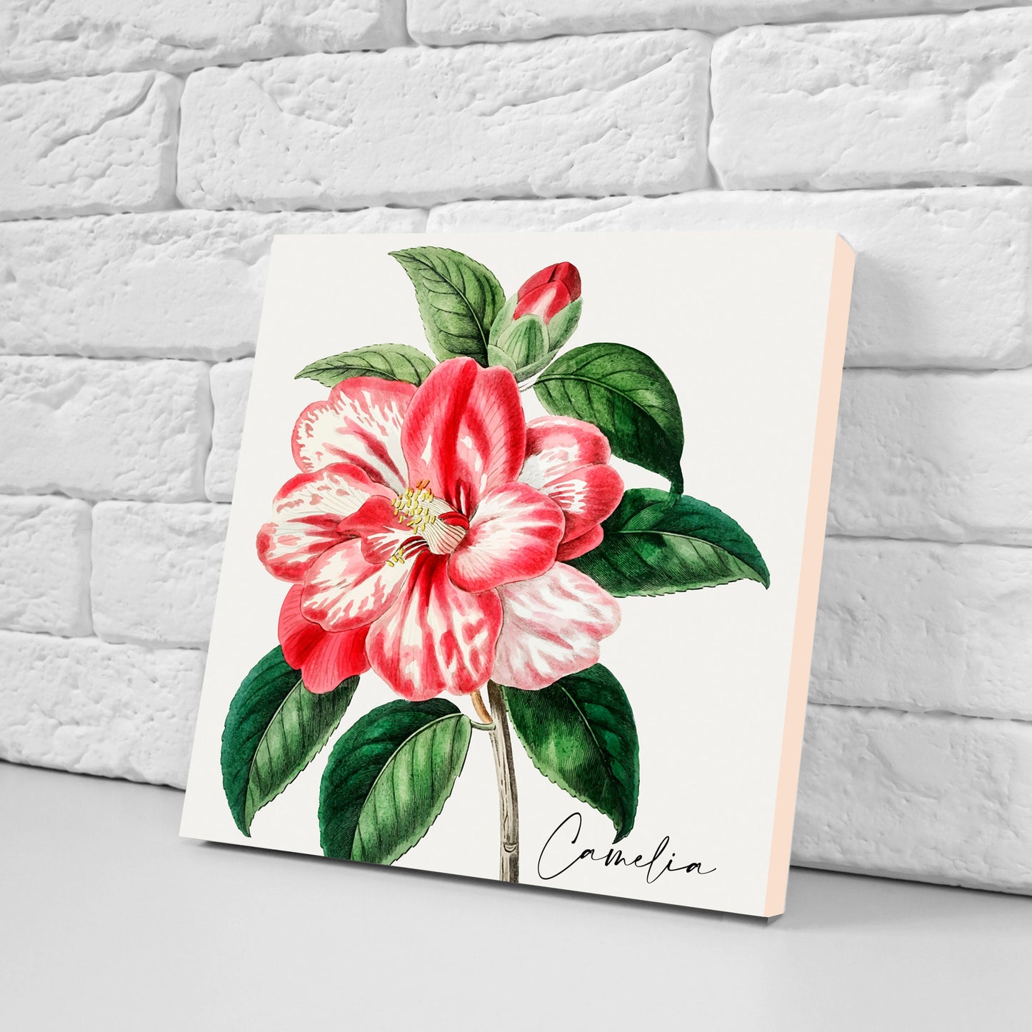 Vintage Botanical Print Ceramic Tiles - Set of 3 Ceramic Decor Tiles - Kitchen Backsplash Tiles, Bathroom Tiles, Botanical wall art