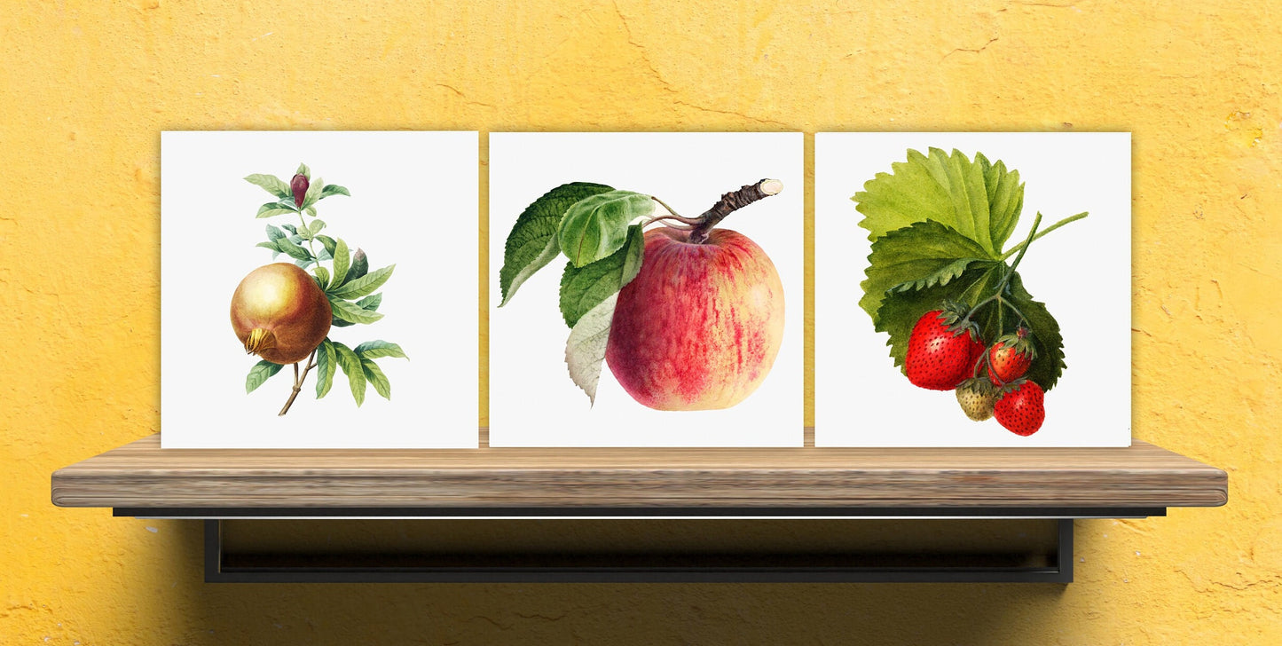 Vintage Fruit Print Ceramic Tiles - Set of 3 Ceramic Decor Tiles - Kitchen Backsplash Tiles, Bathroom Tiles, Fruit illustration print