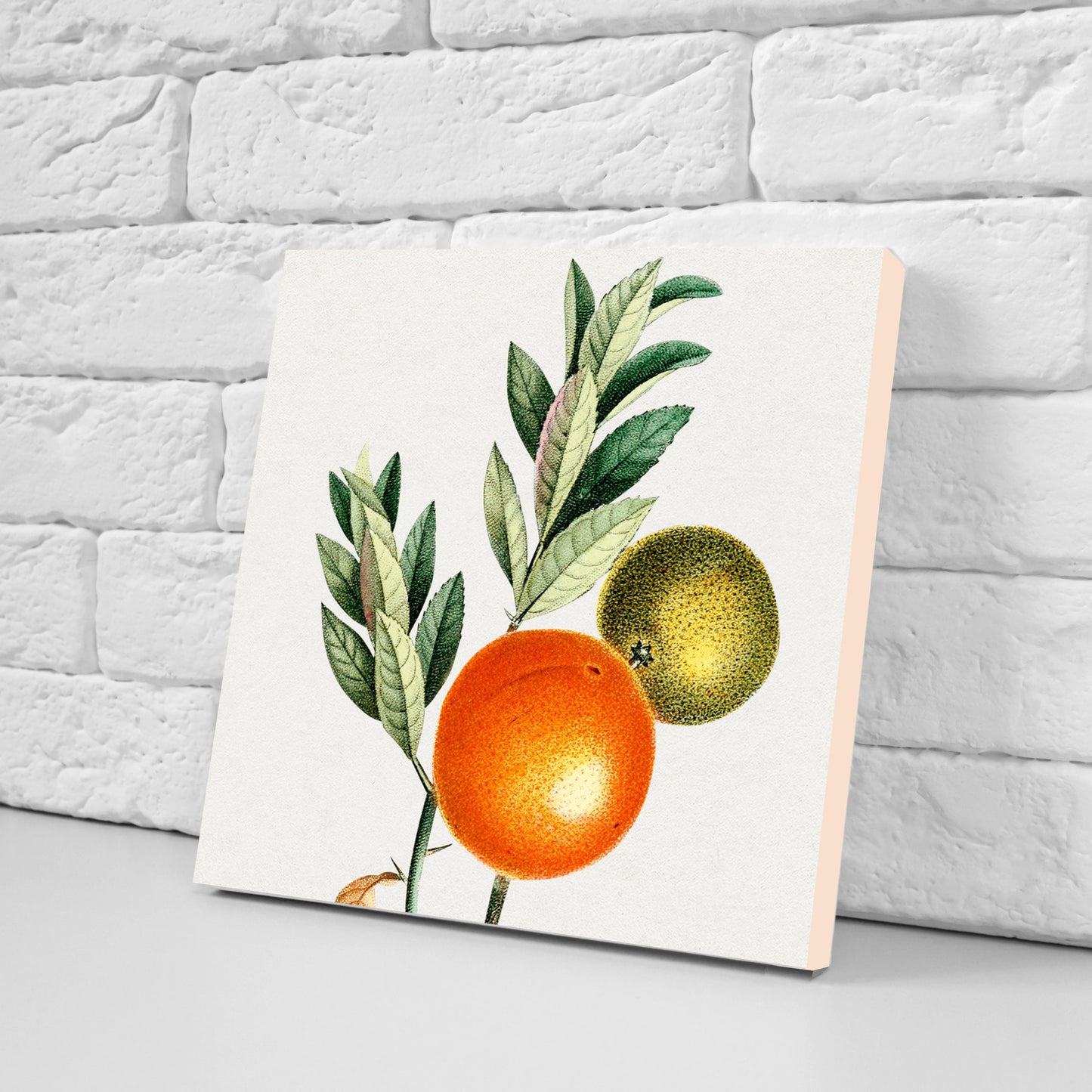 Vintage Fruit Print Ceramic Tiles - Set of 3 Ceramic Decor Tiles - Kitchen Backsplash Tiles, Bathroom Tiles, Fruit illustration print