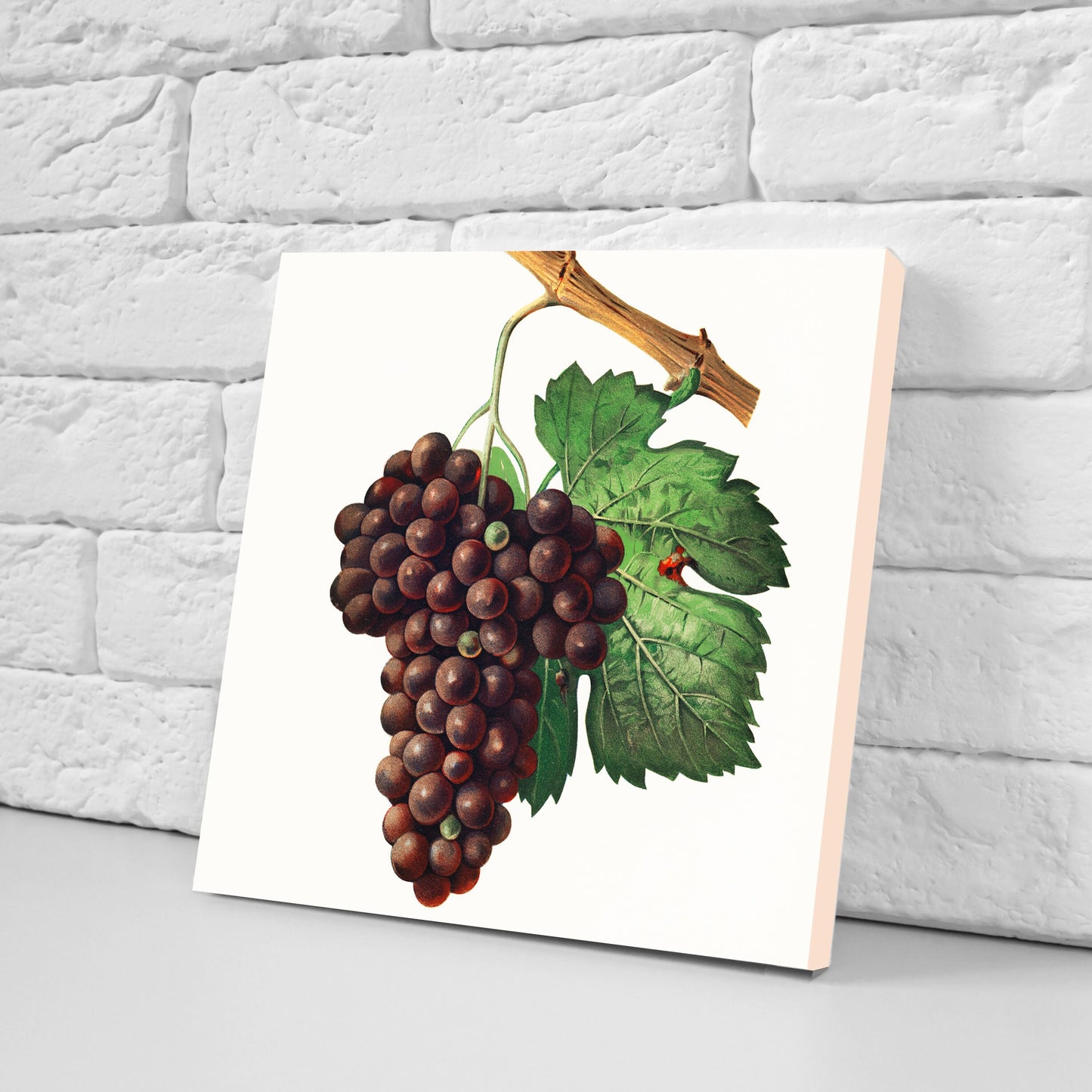 Vintage Fruit Print Ceramic Tiles - Set of 3 Ceramic Decor Tiles - Kitchen Backsplash Tiles, Bathroom Tiles, Fruit illustration print