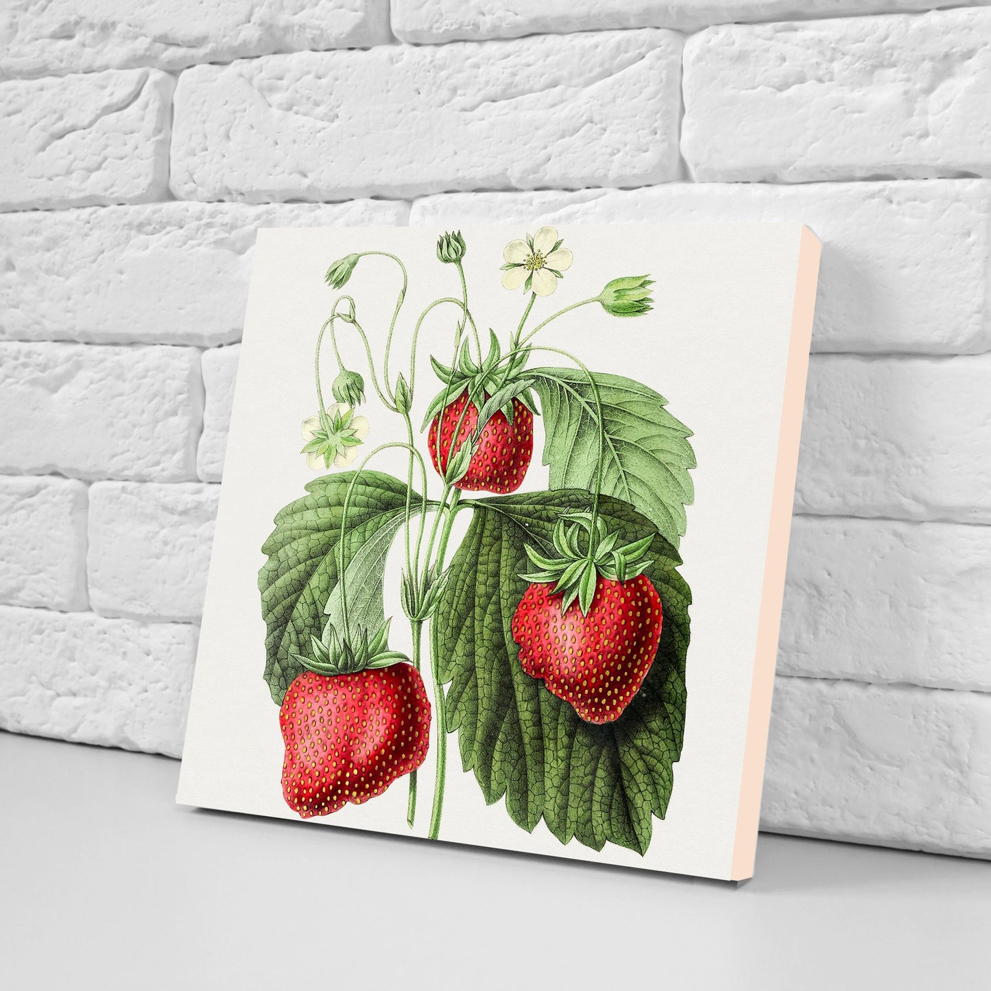 Vintage Fruit Print Ceramic Tiles - Set of 3 Ceramic Decor Tiles - Kitchen Backsplash Tiles, Bathroom Tiles, Fruit illustration print