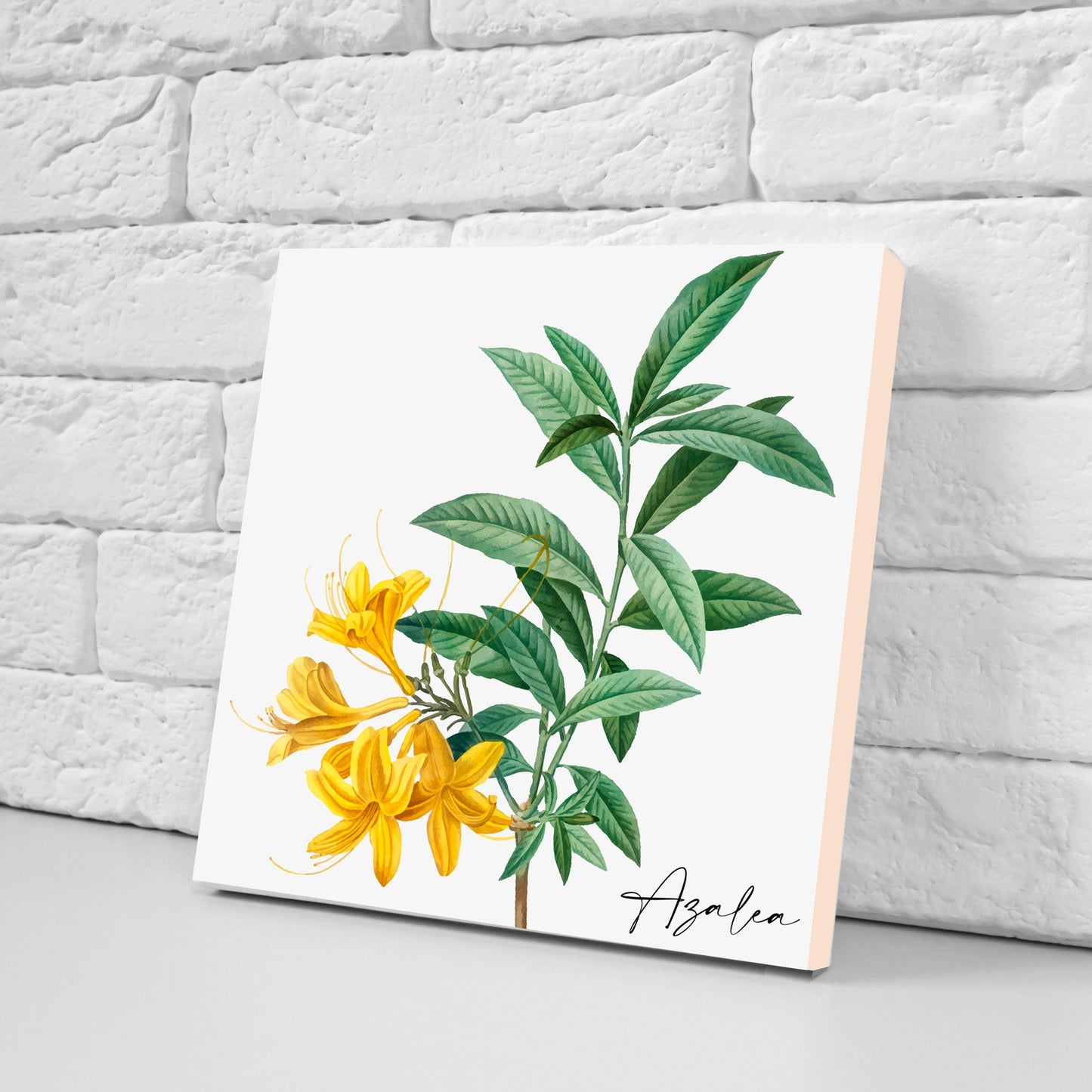 Vintage Botanical Print Ceramic Tiles - Set of 3 Ceramic Decor Tiles - Kitchen Backsplash Tiles, Bathroom Tiles, Botanical wall art
