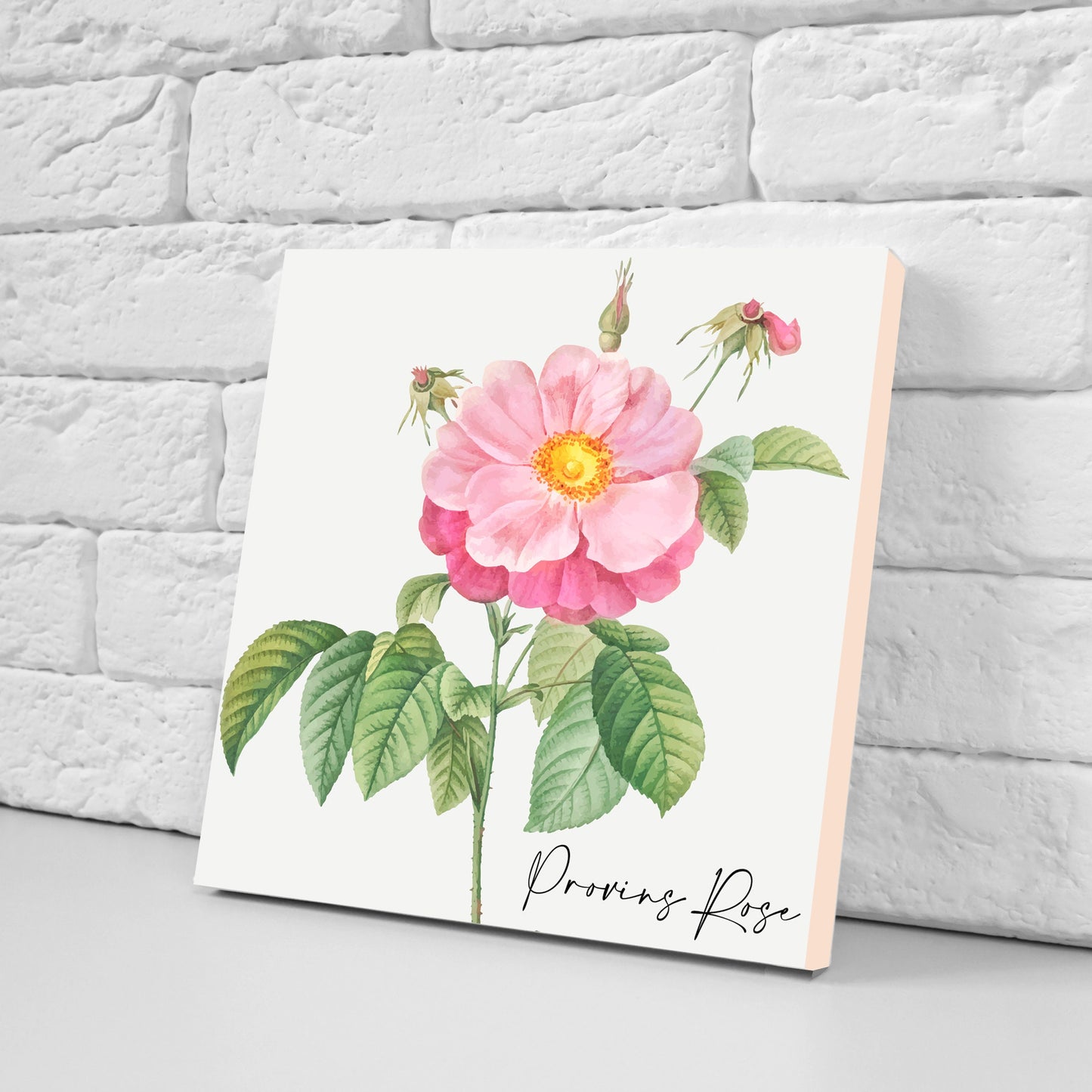 Vintage Botanical Print Ceramic Tiles - Set of 3 Ceramic Decor Tiles - Kitchen Backsplash Tiles, Bathroom Tiles, Botanical wall art