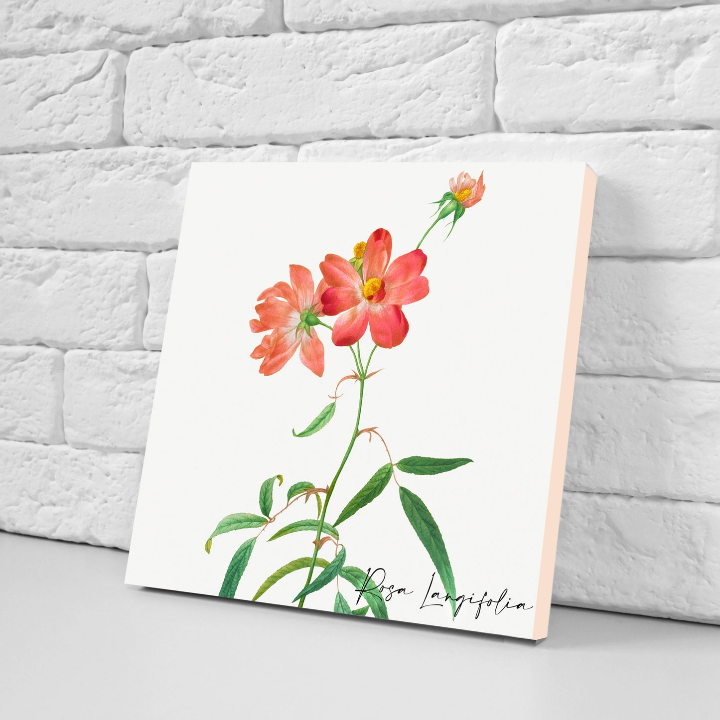 Vintage Botanical Print Ceramic Tiles - Set of 3 Ceramic Decor Tiles - Kitchen Backsplash Tiles, Bathroom Tiles, Botanical wall art