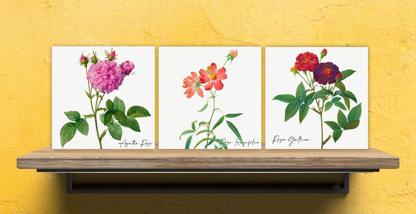 Vintage Botanical Print Ceramic Tiles - Set of 3 Ceramic Decor Tiles - Kitchen Backsplash Tiles, Bathroom Tiles, Botanical wall art