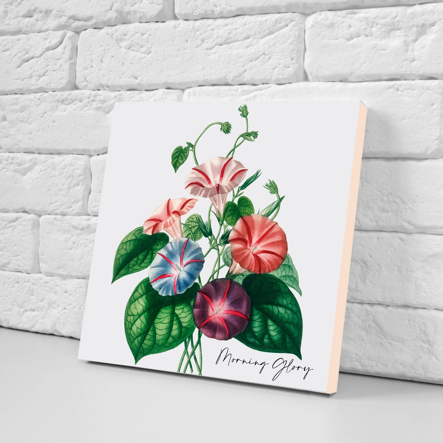 Vintage Botanical Print Ceramic Tiles - Set of 3 Ceramic Decor Tiles - Kitchen Backsplash Tiles, Bathroom Tiles, Botanical wall art