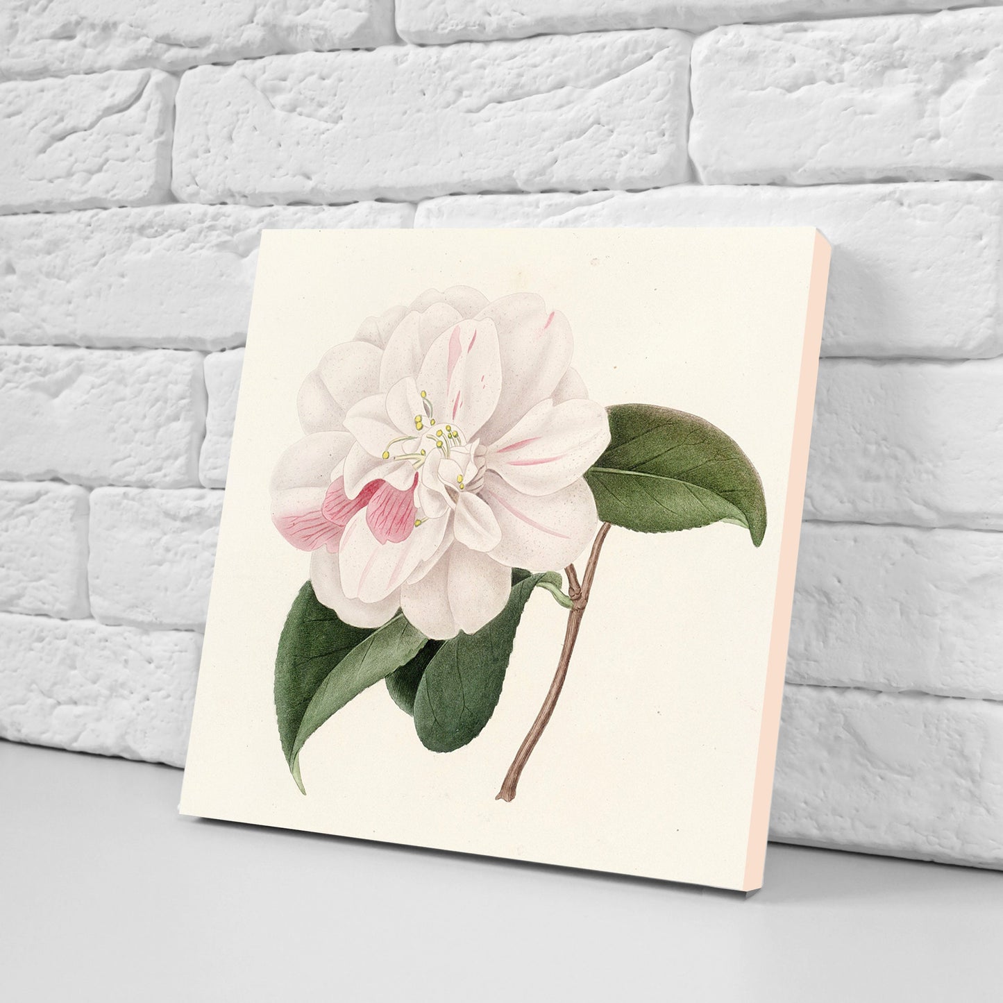 Vintage Botanica Camelias Print Ceramic Tiles - Set of 3 Ceramic Decor Tiles - Kitchen Backsplash Tiles, Bathroom Tiles, Botanical wall art