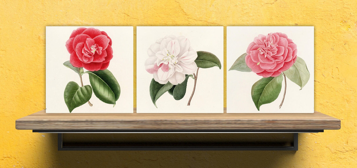 Vintage Botanica Camelias Print Ceramic Tiles - Set of 3 Ceramic Decor Tiles - Kitchen Backsplash Tiles, Bathroom Tiles, Botanical wall art