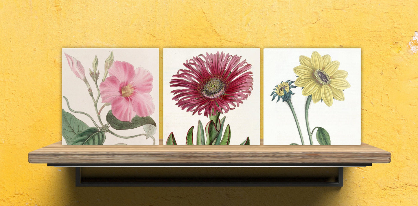 Vintage Botanical Print Ceramic Tiles - Set of 3 Ceramic Decor Tiles - Kitchen Backsplash Tiles, Bathroom Tiles, Botanical wall art