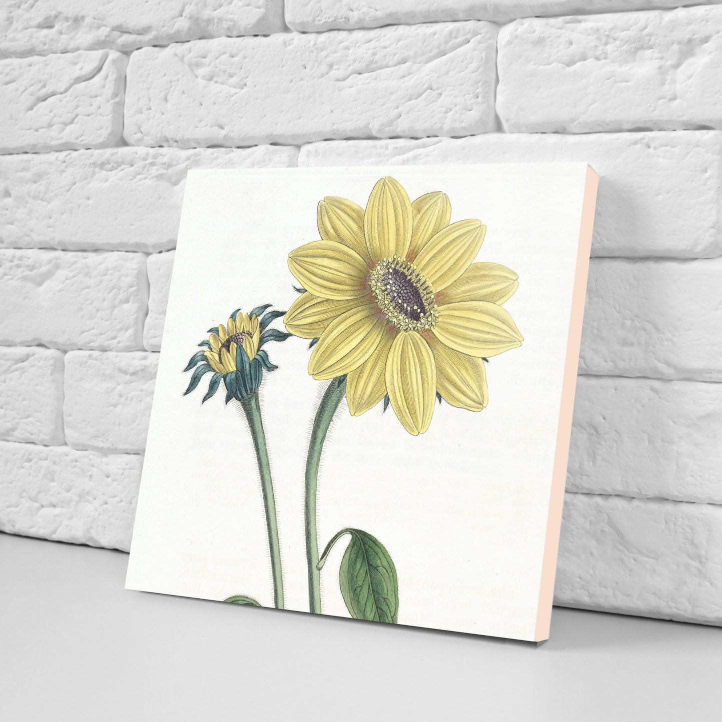 Vintage Botanical Print Ceramic Tiles - Set of 3 Ceramic Decor Tiles - Kitchen Backsplash Tiles, Bathroom Tiles, Botanical wall art