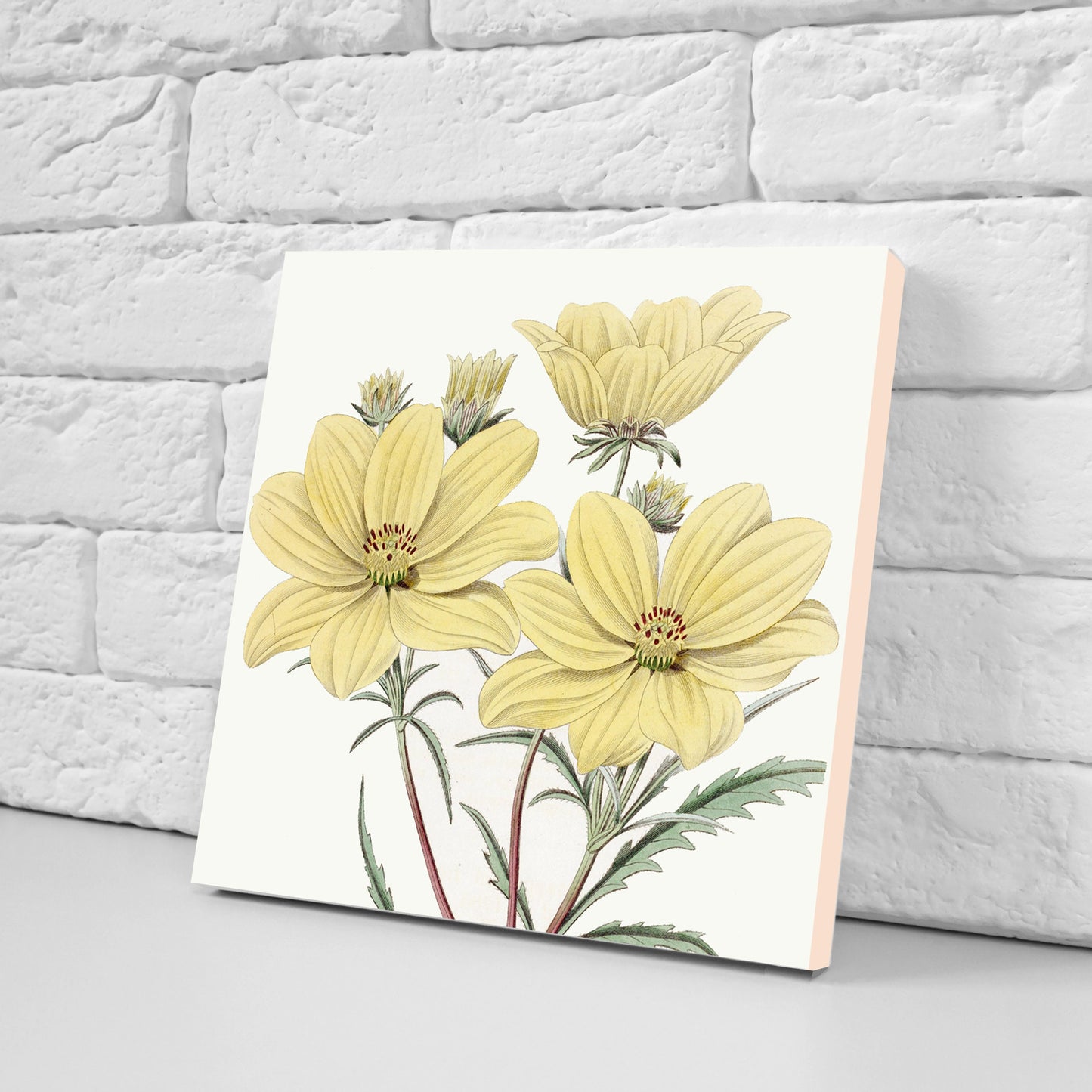 Vintage Botanical Print Ceramic Tiles - Set of 3 Ceramic Decor Tiles - Kitchen Backsplash Tiles, Bathroom Tiles, Botanical wall art