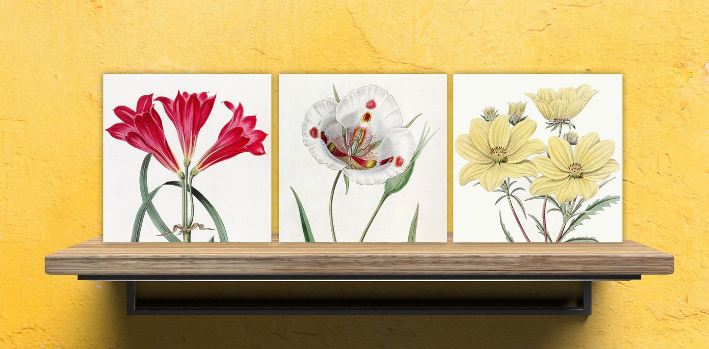 Vintage Botanical Print Ceramic Tiles - Set of 3 Ceramic Decor Tiles - Kitchen Backsplash Tiles, Bathroom Tiles, Botanical wall art