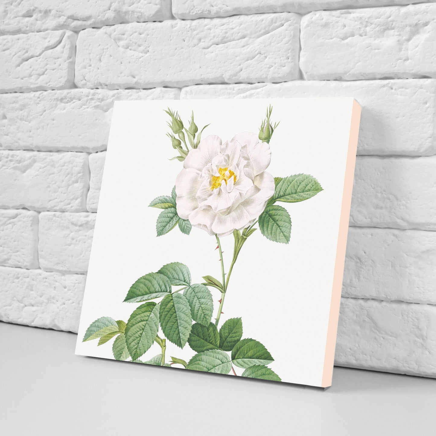 Vintage Botanica Print Ceramic Tiles - Set of 3 Ceramic Decor Tiles - Kitchen Backsplash Tiles, Bathroom Tiles, Botanical wall art