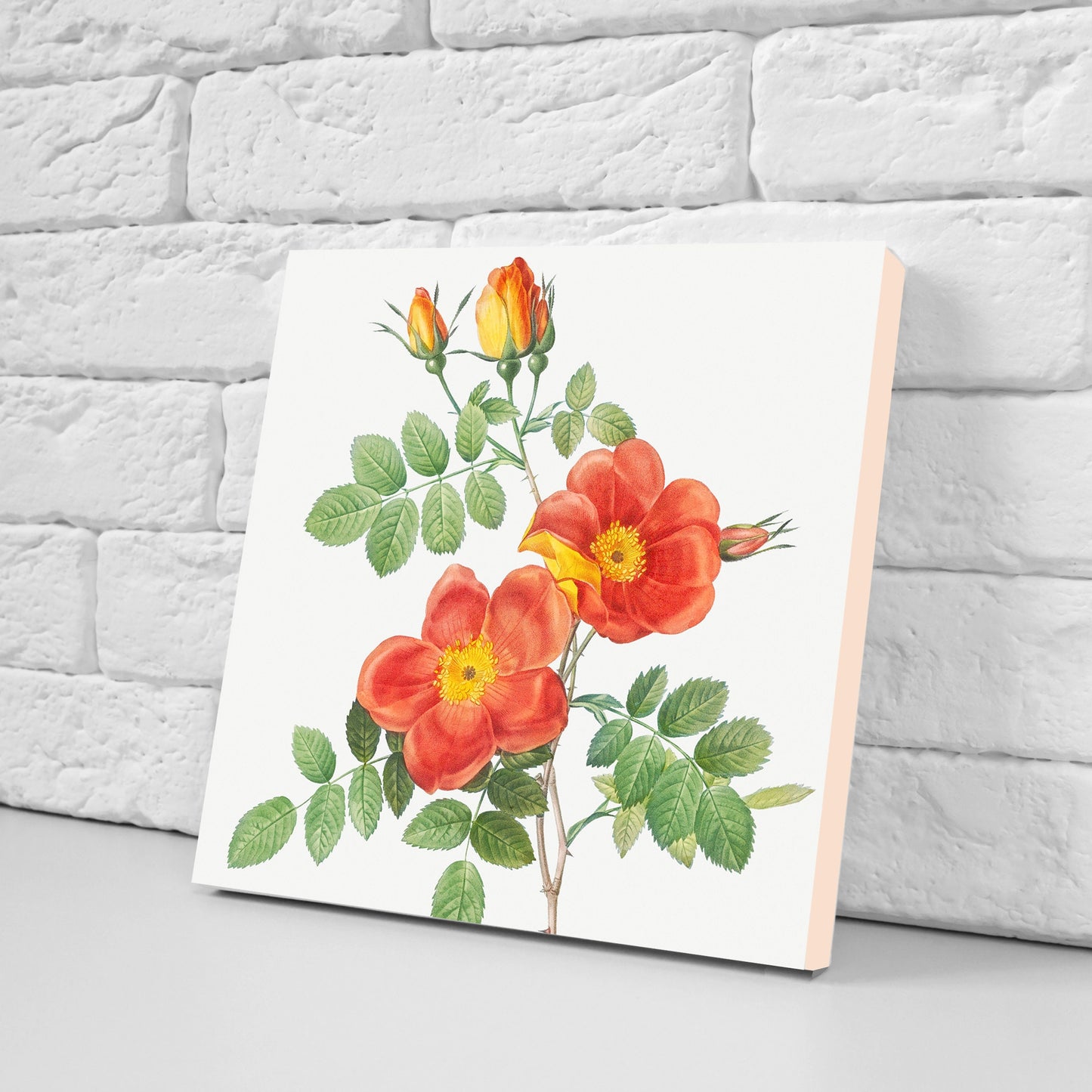 Vintage Botanica Print Ceramic Tiles - Set of 3 Ceramic Decor Tiles - Kitchen Backsplash Tiles, Bathroom Tiles, Botanical wall art