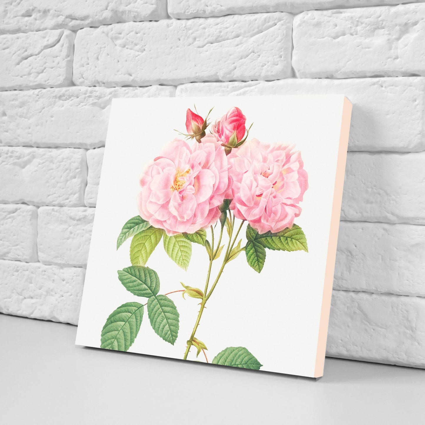 Vintage Botanica Print Ceramic Tiles - Set of 3 Ceramic Decor Tiles - Kitchen Backsplash Tiles, Bathroom Tiles, Botanical wall art