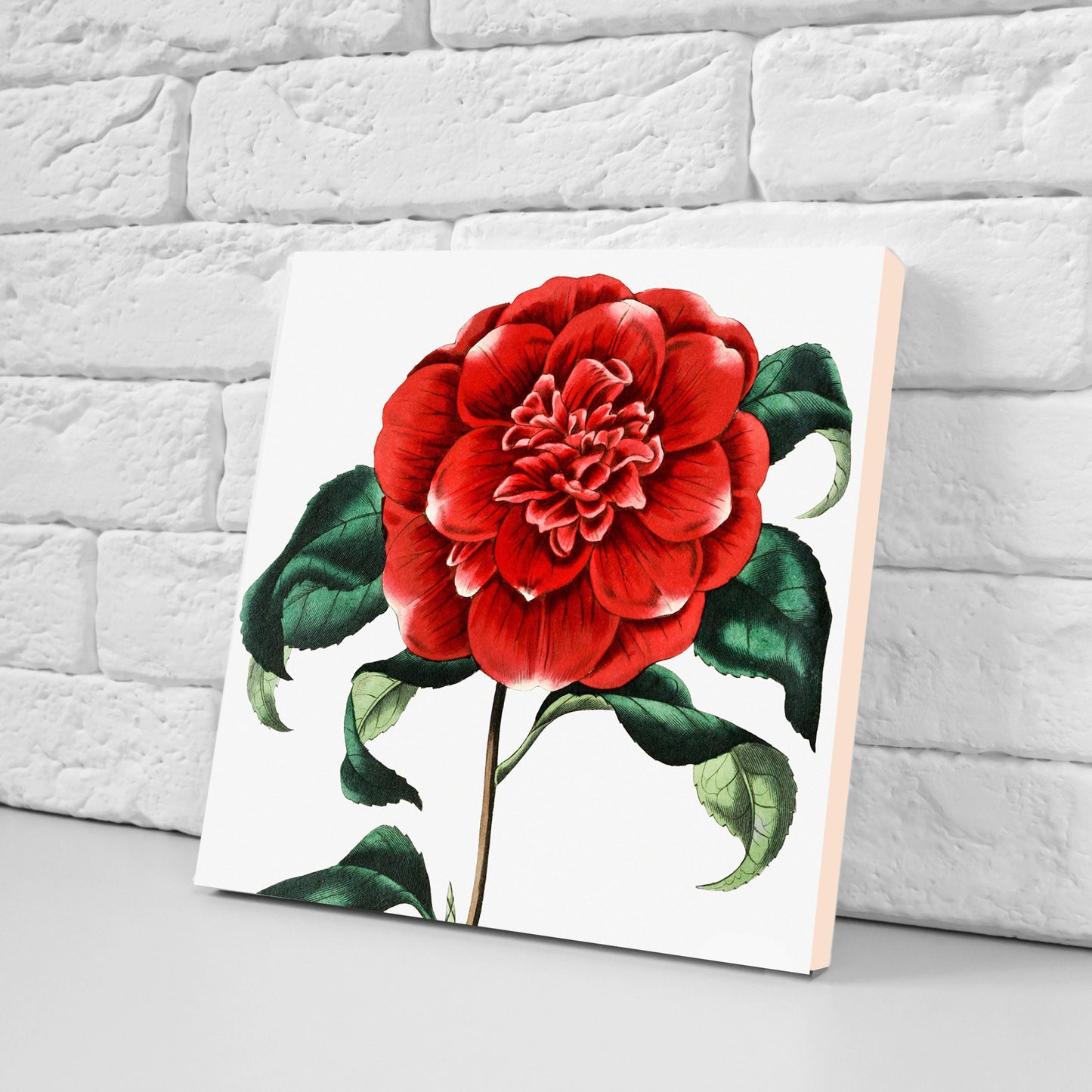 Vintage Botanical Print Ceramic Tiles - Set of 3 Ceramic Decor Tiles - Kitchen Backsplash Tiles, Bathroom Tiles, Botanical wall art