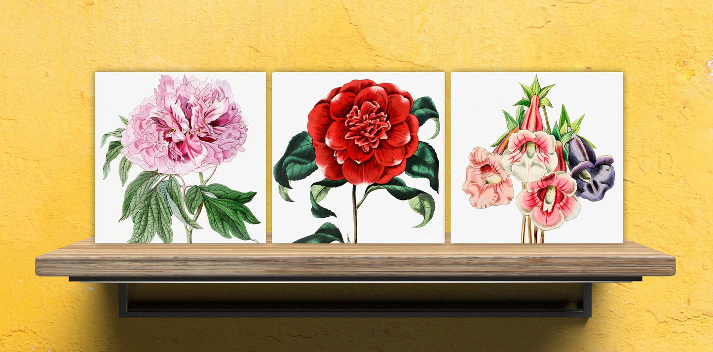 Vintage Botanical Print Ceramic Tiles - Set of 3 Ceramic Decor Tiles - Kitchen Backsplash Tiles, Bathroom Tiles, Botanical wall art