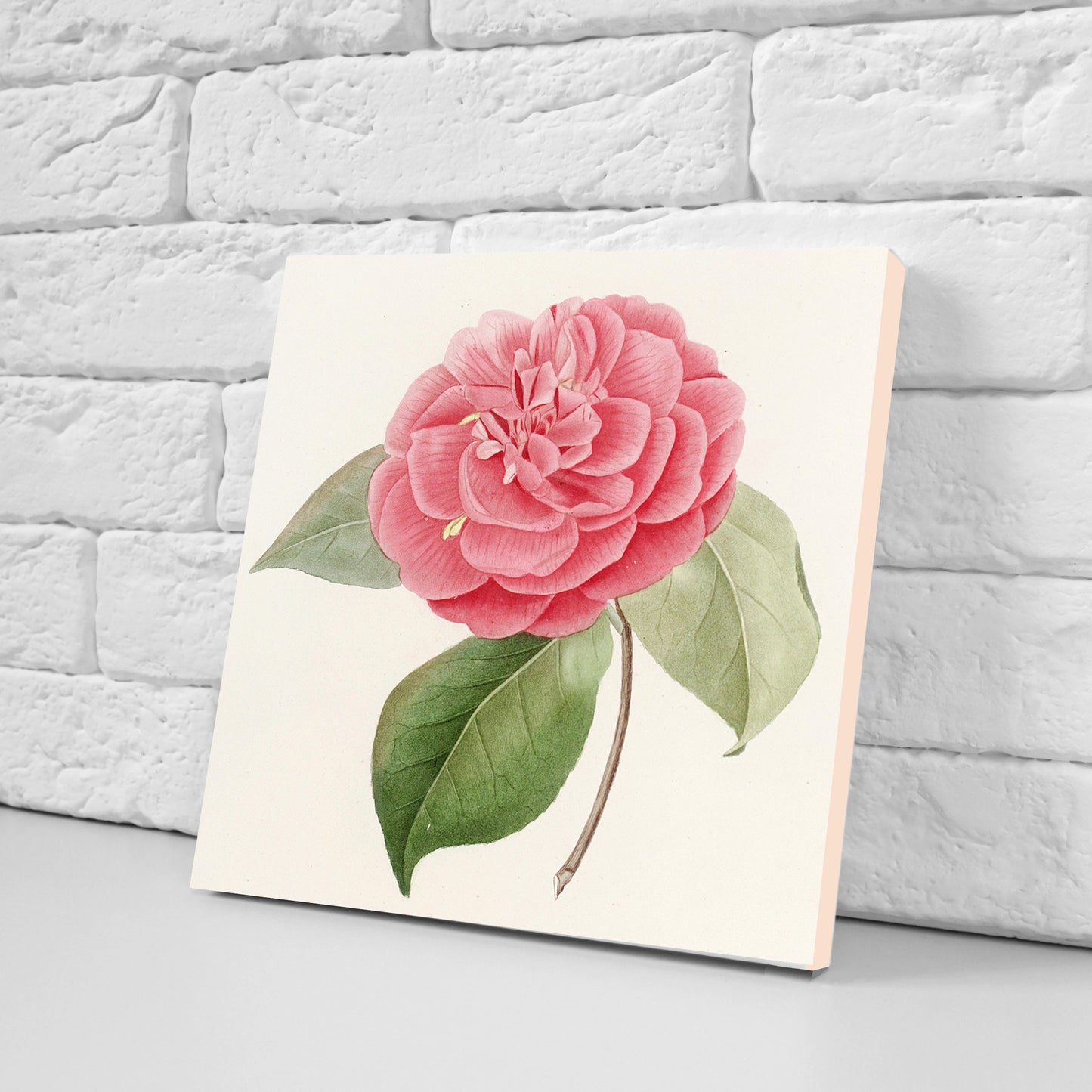 Vintage Botanica Camelias Print Ceramic Tiles - Set of 3 Ceramic Decor Tiles - Kitchen Backsplash Tiles, Bathroom Tiles, Botanical wall art