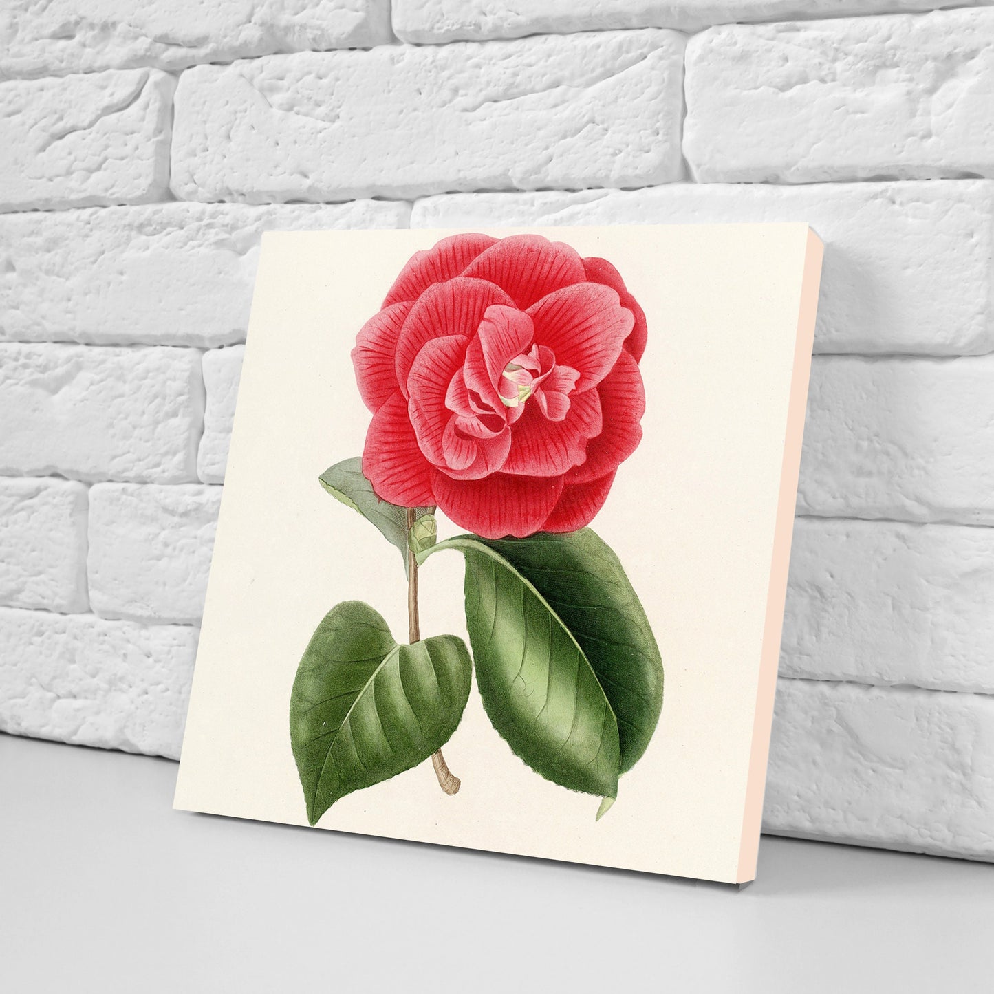 Vintage Botanica Camelias Print Ceramic Tiles - Set of 3 Ceramic Decor Tiles - Kitchen Backsplash Tiles, Bathroom Tiles, Botanical wall art