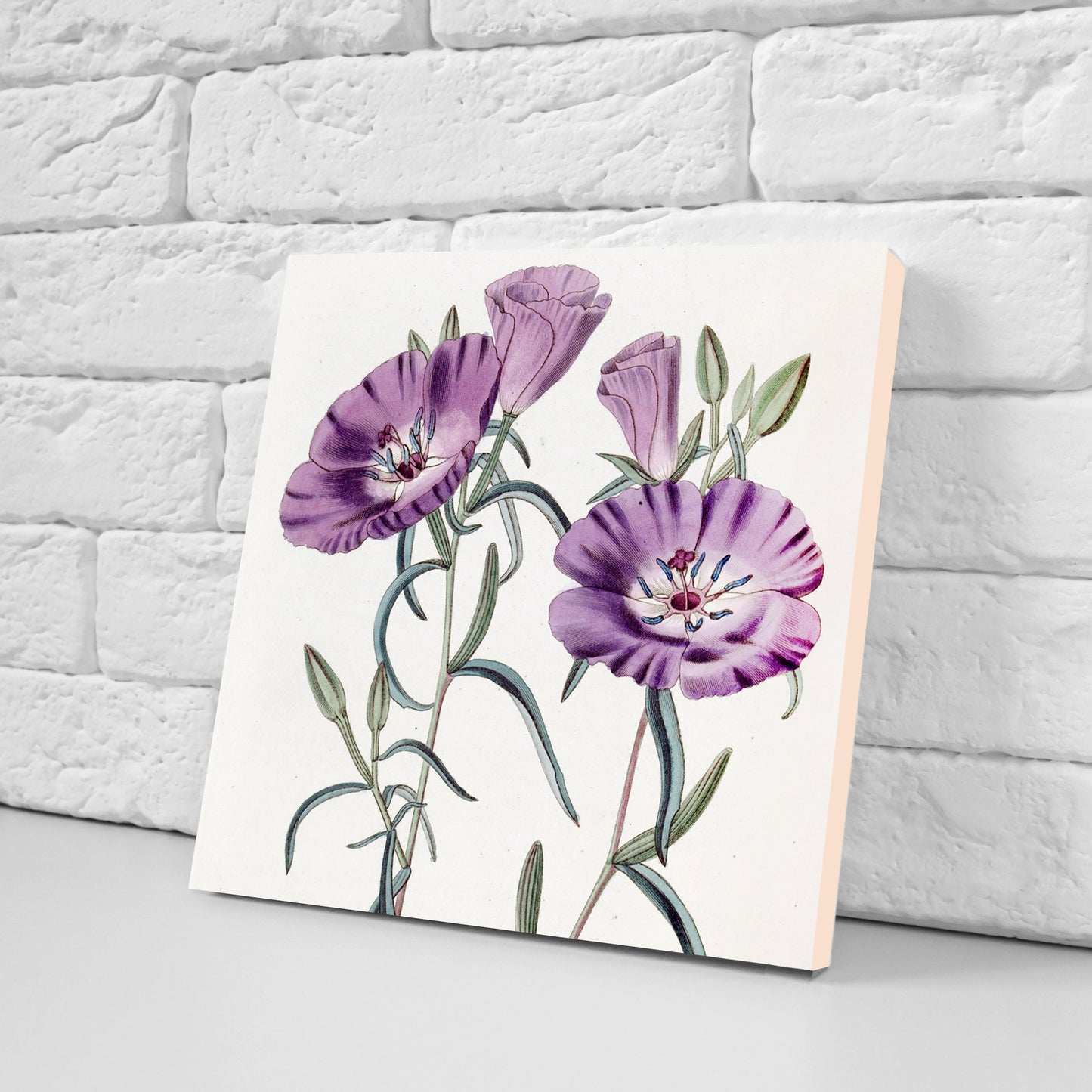 Vintage Botanical Print Ceramic Tiles - Set of 3 Ceramic Decor Tiles - Kitchen Backsplash Tiles, Bathroom Tiles, Botanical wall art
