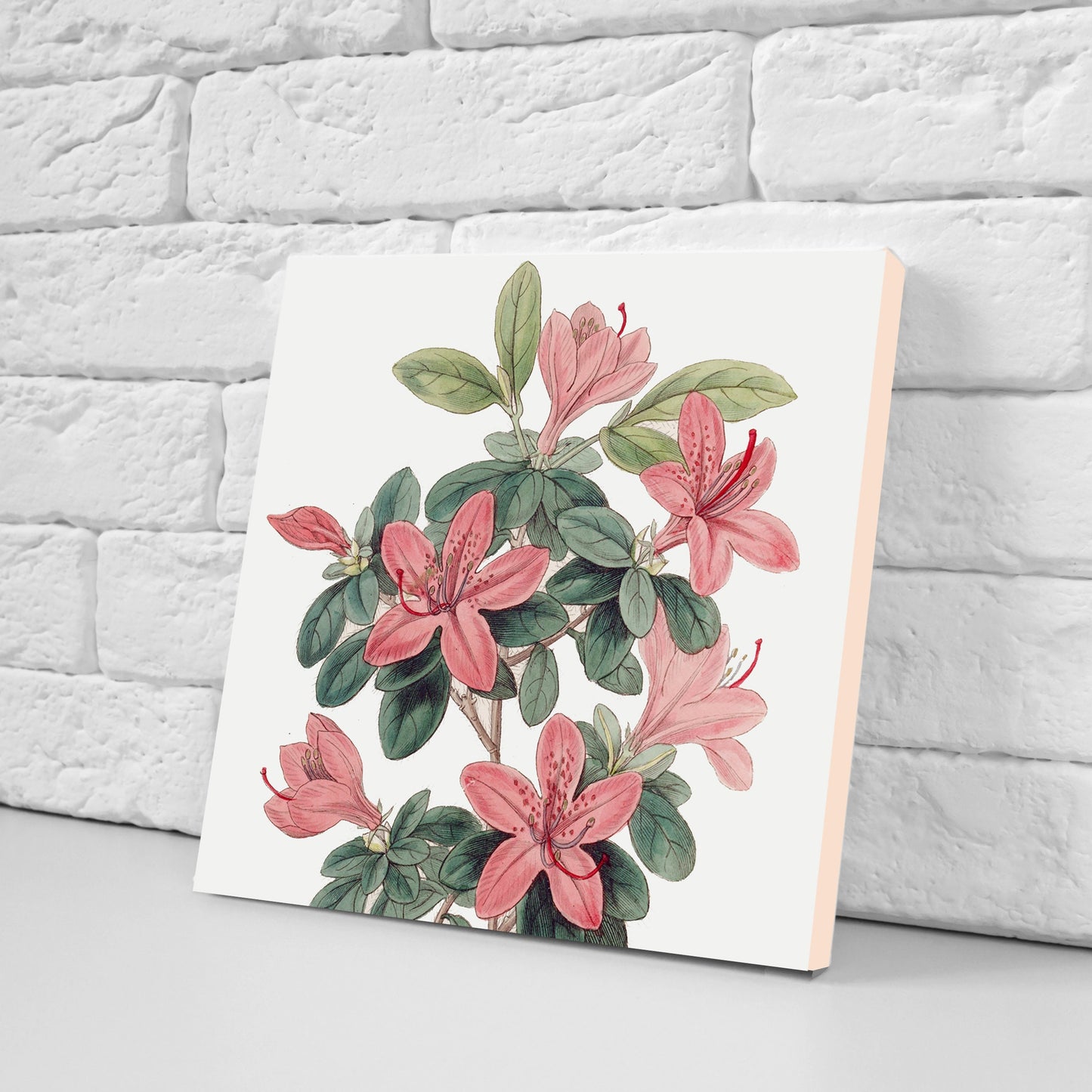 Vintage Botanical Print Ceramic Tiles - Set of 3 Ceramic Decor Tiles - Kitchen Backsplash Tiles, Bathroom Tiles, Botanical wall art